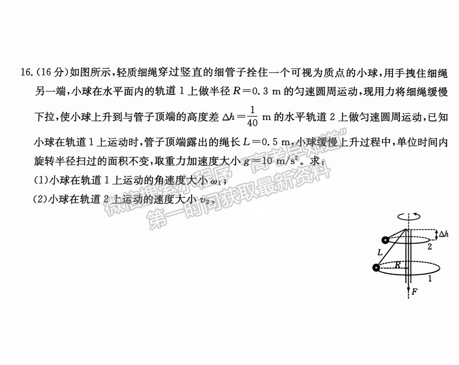 2025漳州高三大联考物理试题及参考答案