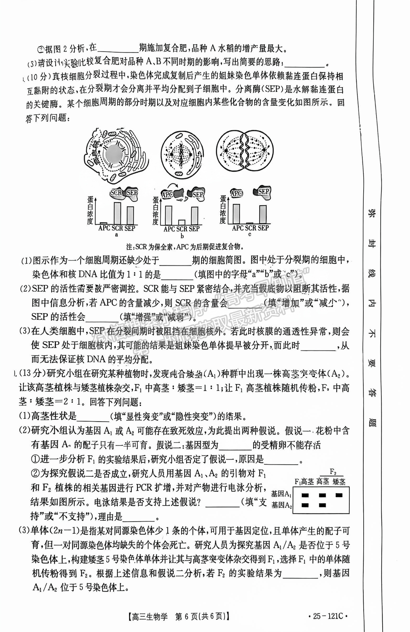 2025漳州高三大聯(lián)考生物試題及參考答案