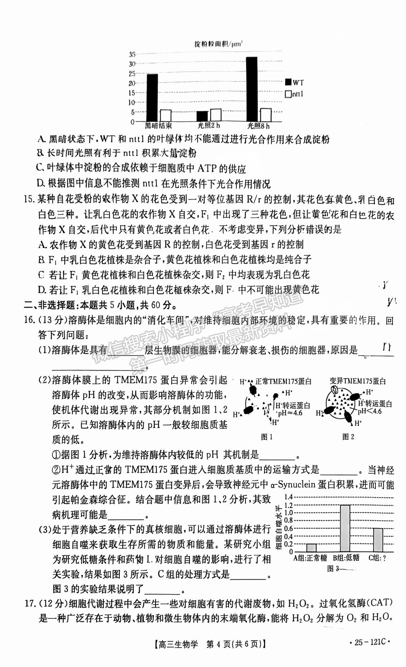 2025漳州高三大聯(lián)考生物試題及參考答案