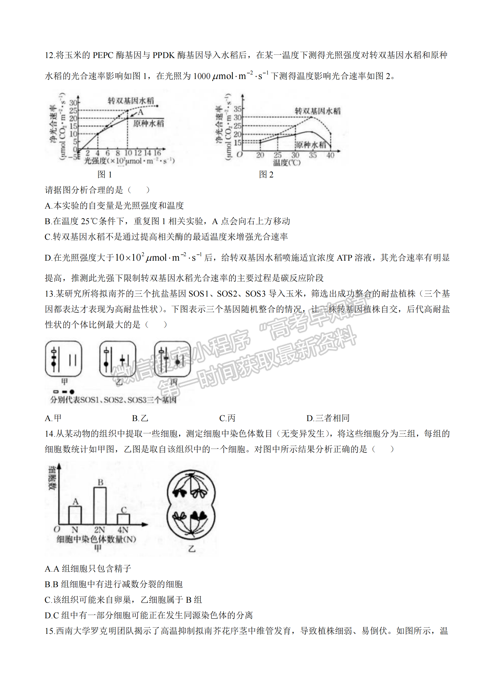 2025届福建省龙岩市高三上学期期中联考生物试题及参考答案