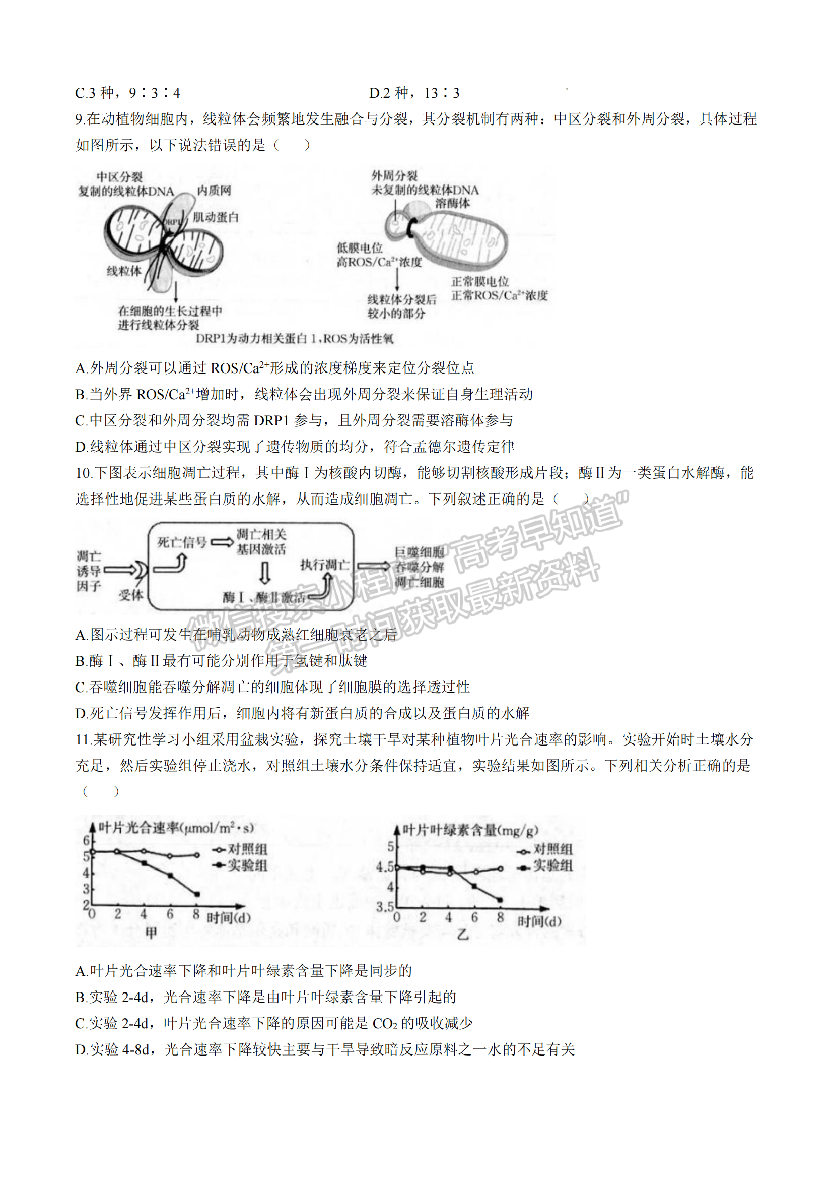 2025届福建省龙岩市高三上学期期中联考生物试题及参考答案