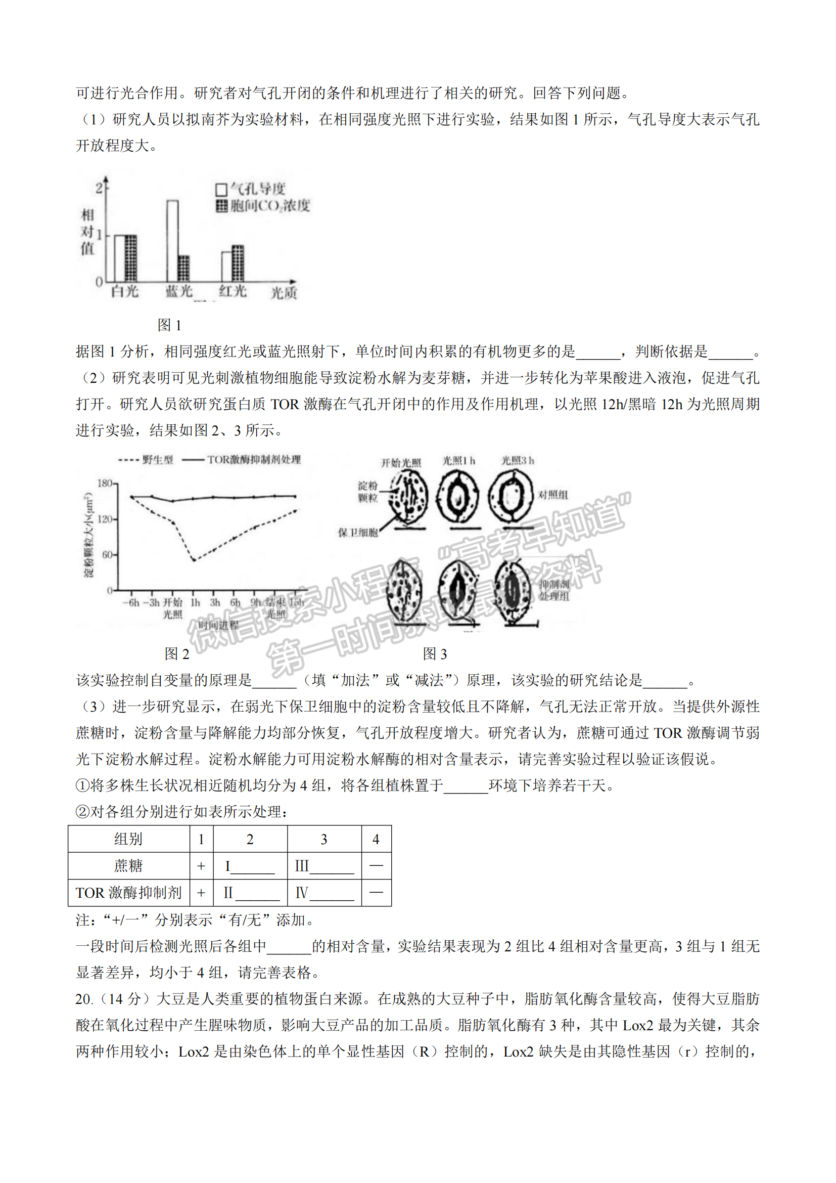 2025届福建省龙岩市高三上学期期中联考生物试题及参考答案