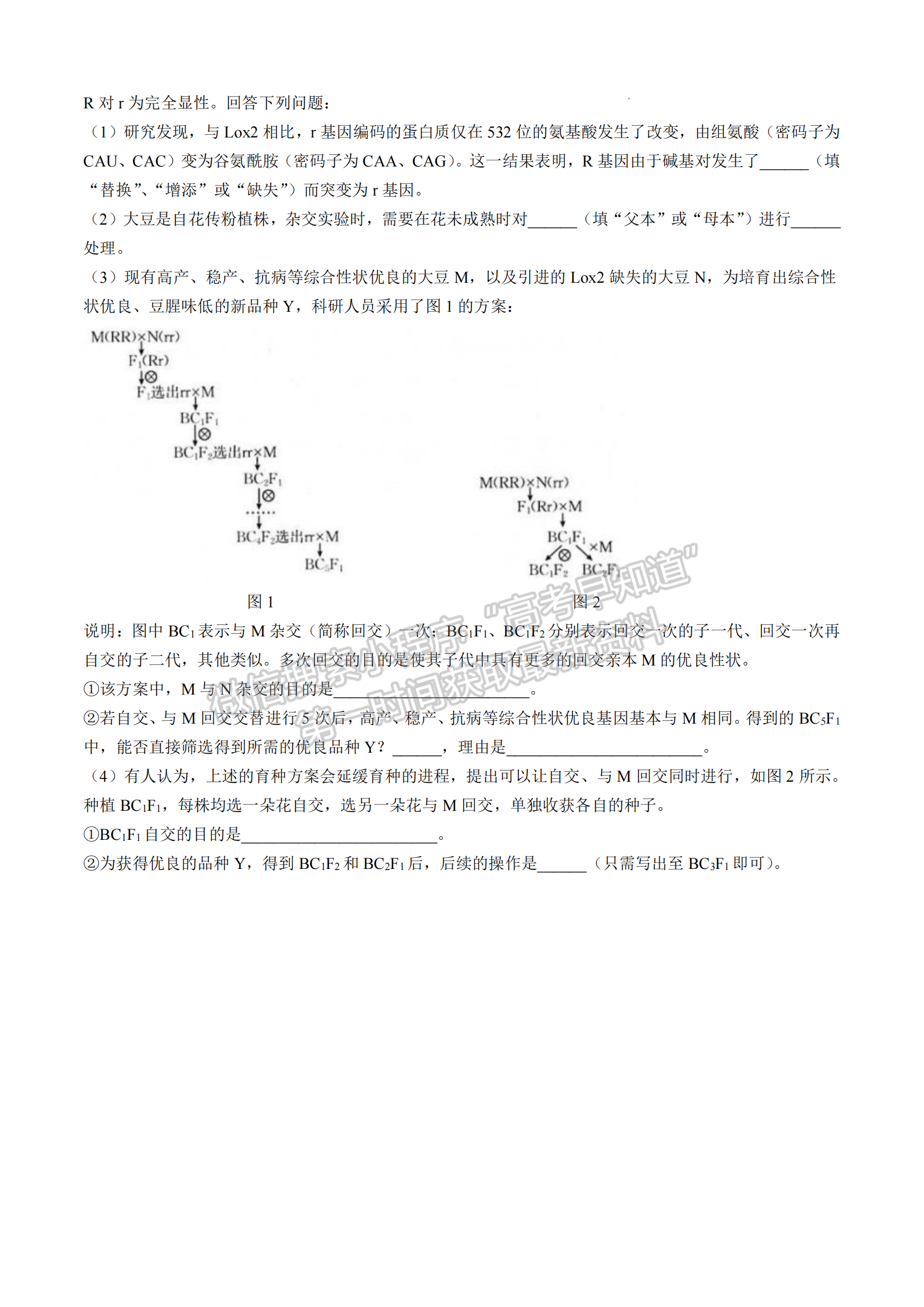 2025届福建省龙岩市高三上学期期中联考生物试题及参考答案