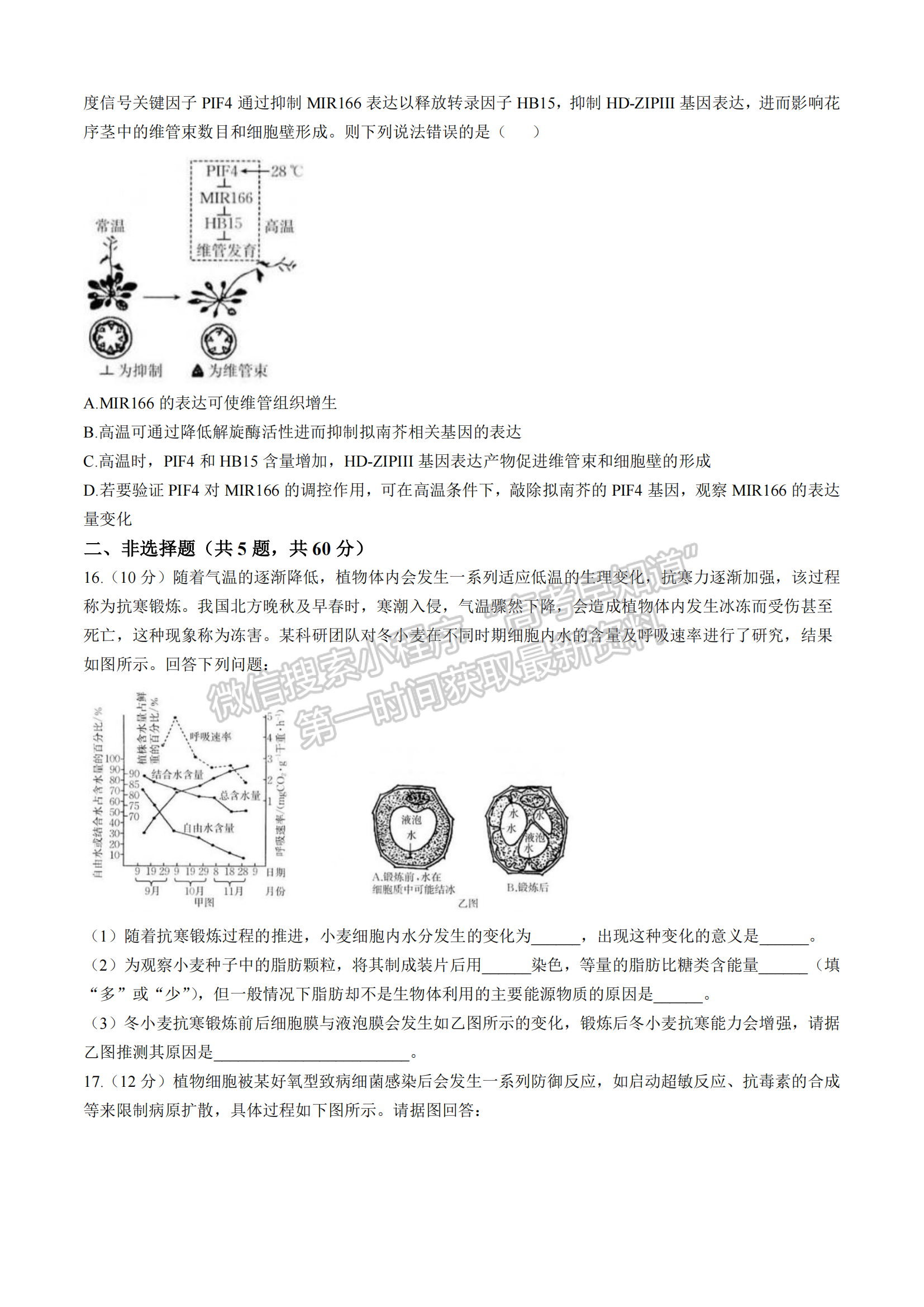 2025届福建省龙岩市高三上学期期中联考生物试题及参考答案