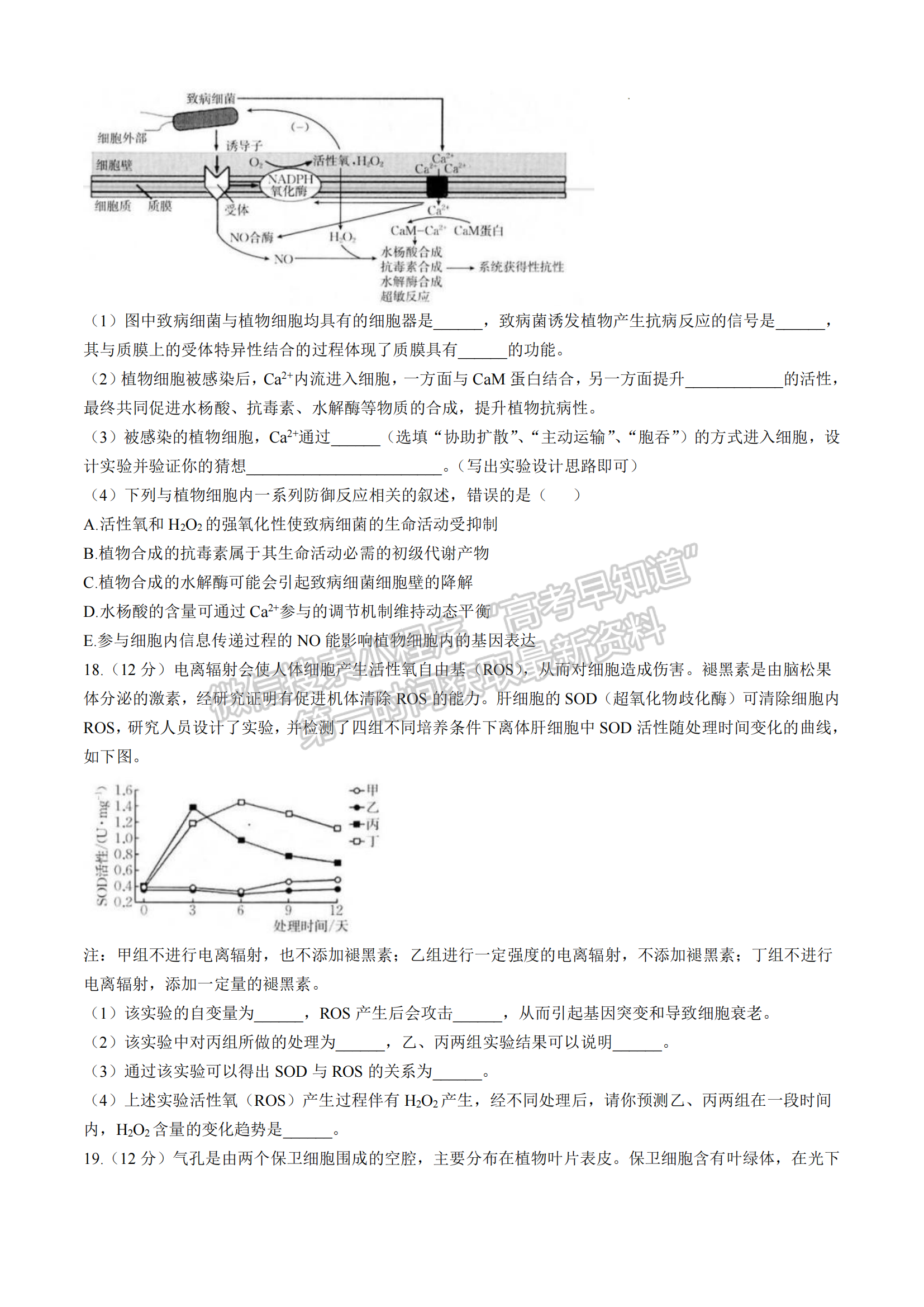 2025届福建省龙岩市高三上学期期中联考生物试题及参考答案