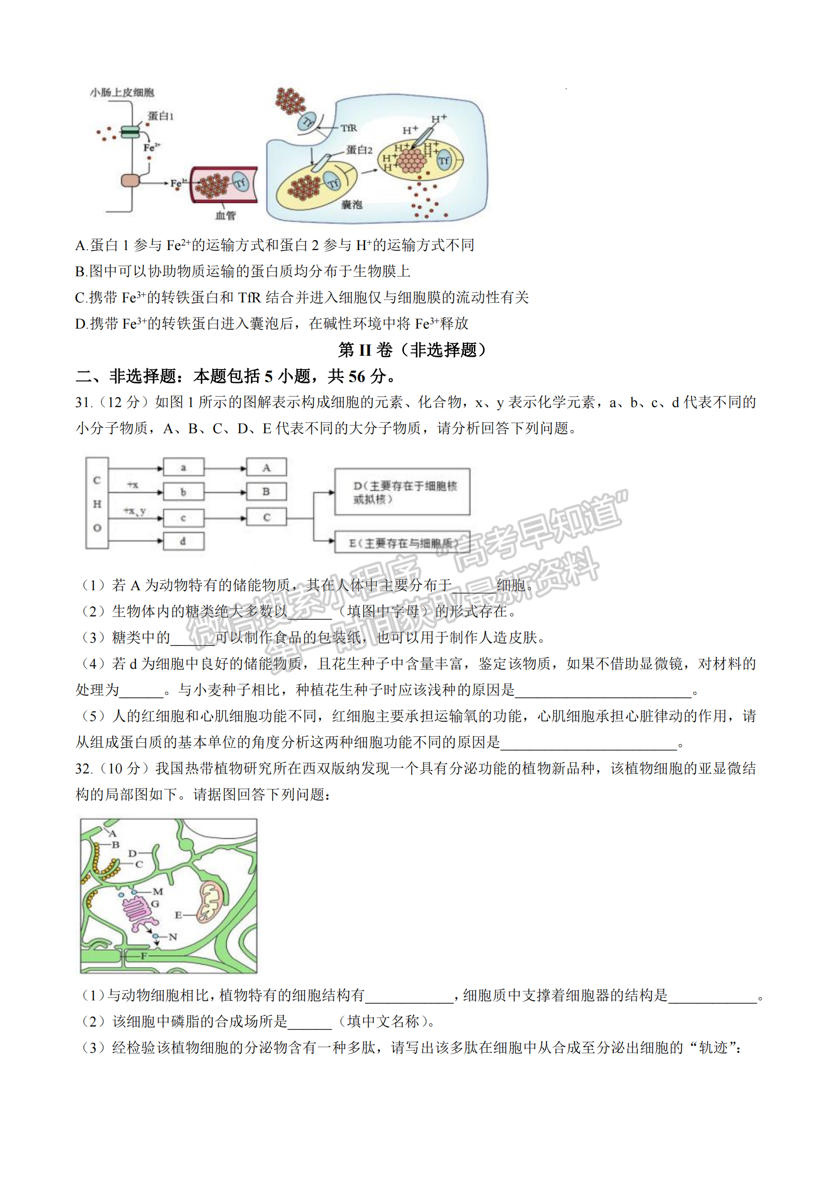 厦门双十中学高一年期中考生物试卷及参考答案