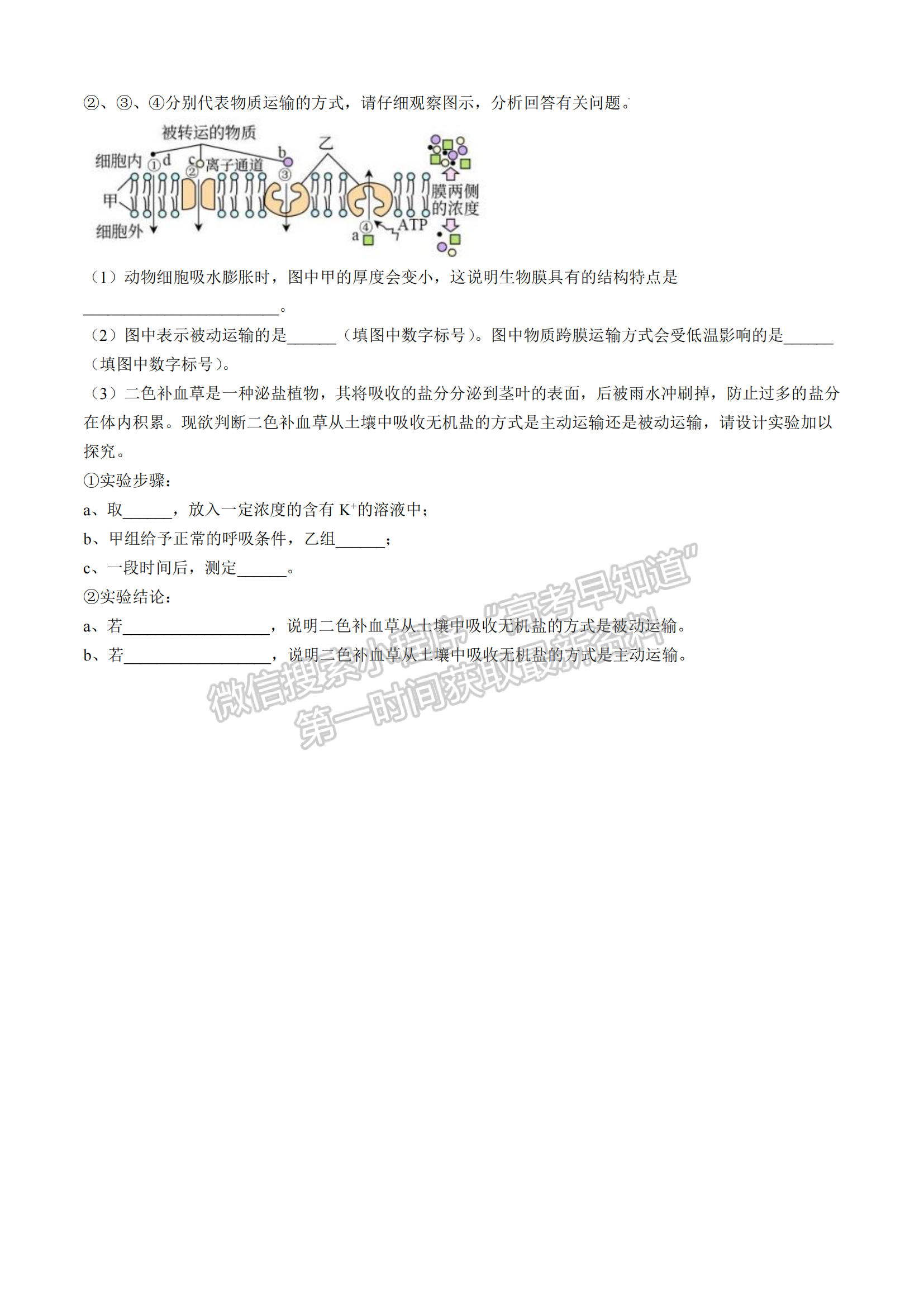 厦门双十中学高一年期中考生物试卷及参考答案