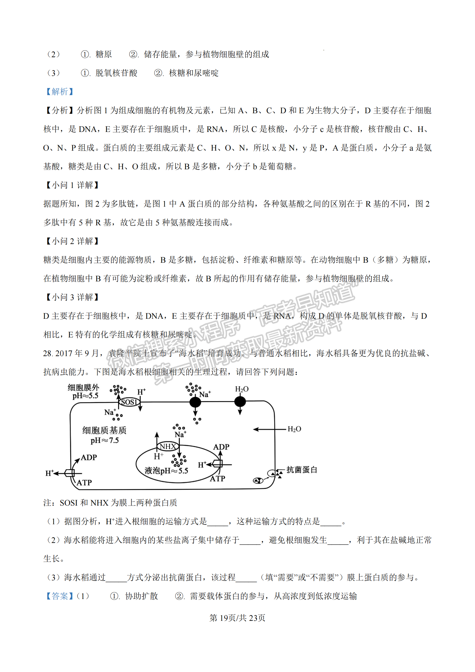  龙岩市一级校联盟高一第一学期半期考联考生物试卷及参考答案