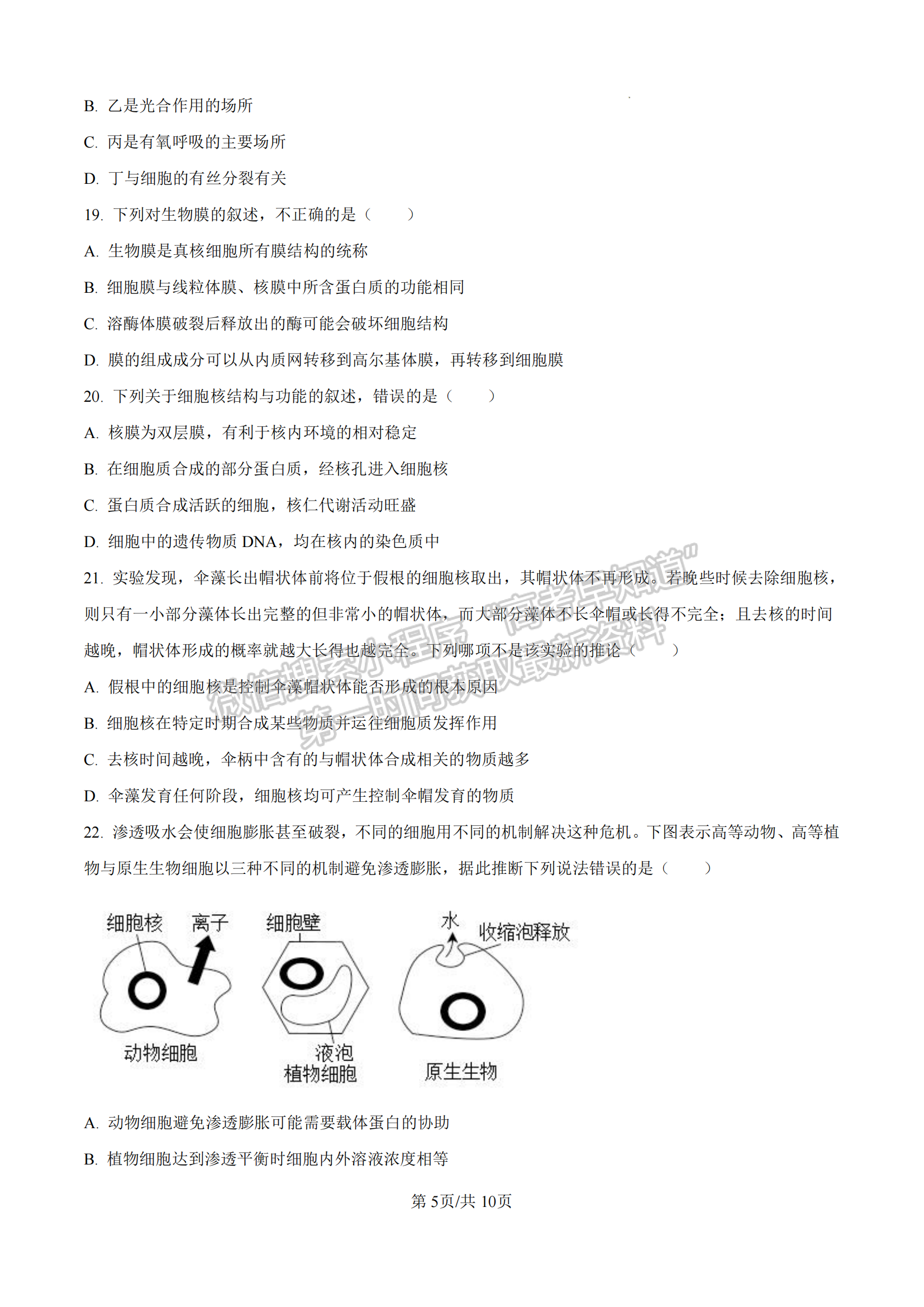  龙岩市一级校联盟高一第一学期半期考联考生物试卷及参考答案