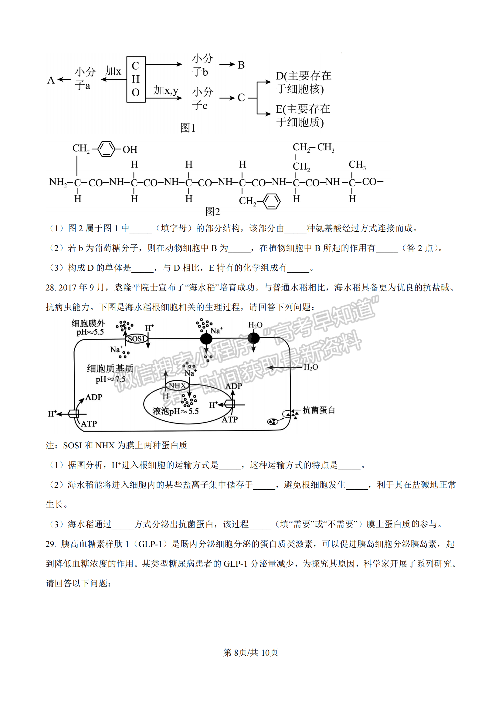  龙岩市一级校联盟高一第一学期半期考联考生物试卷及参考答案