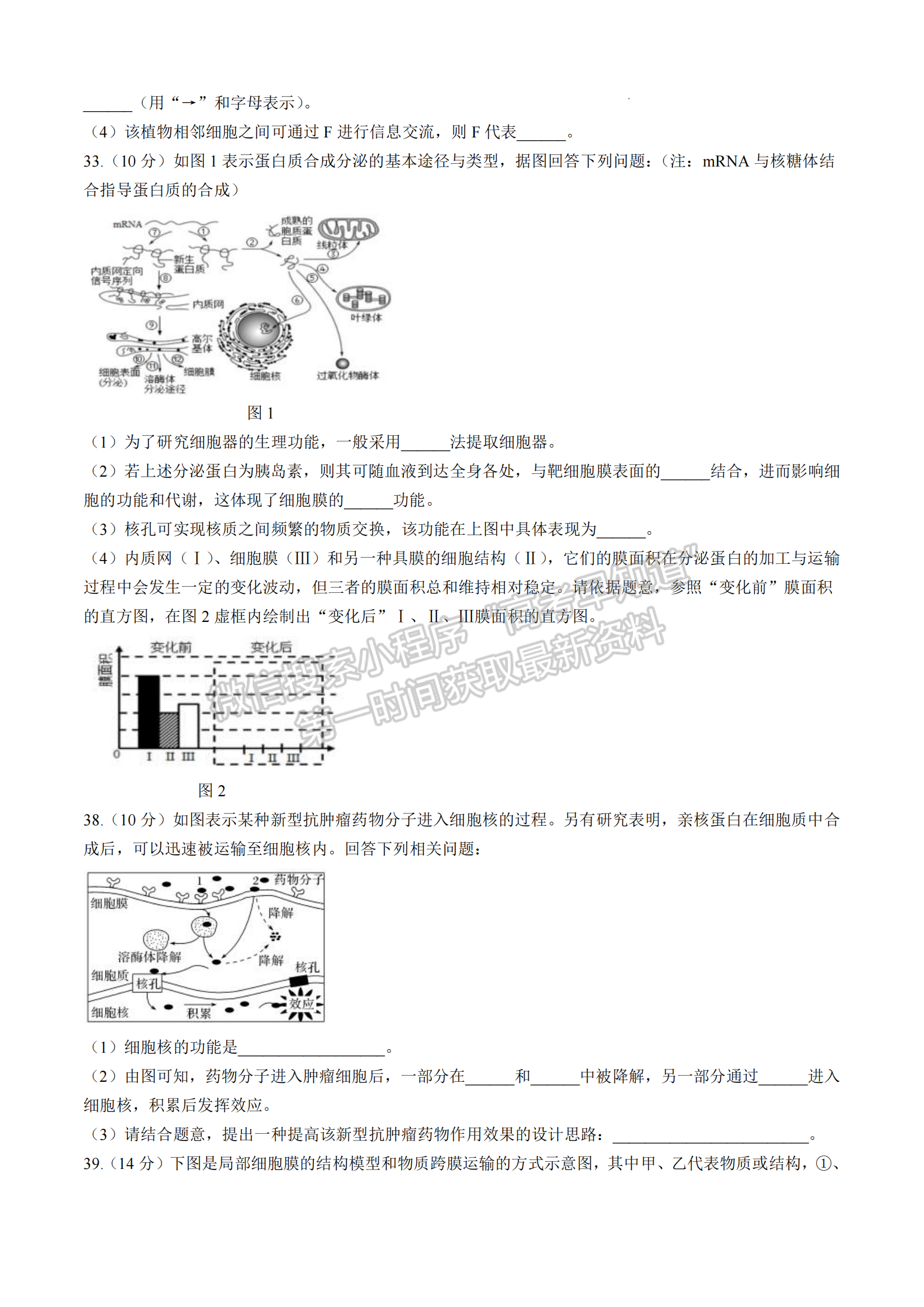 厦门双十中学高一年期中考生物试卷及参考答案