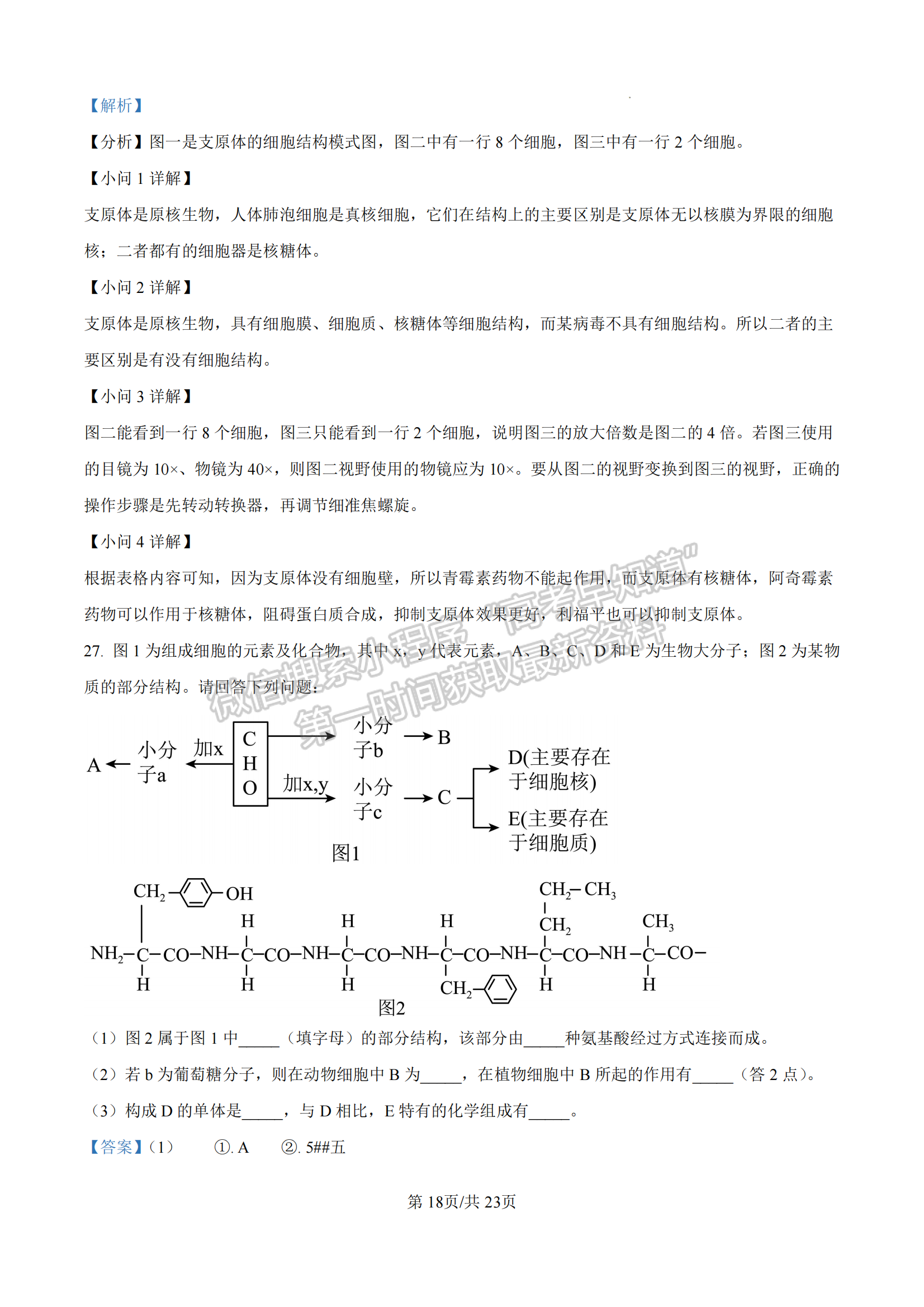  龙岩市一级校联盟高一第一学期半期考联考生物试卷及参考答案