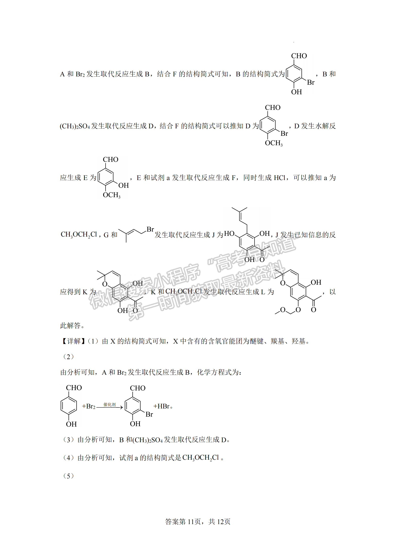 福建省泉州第五中学2024-2025学年高三上学期11月期中化学试卷及参考答案