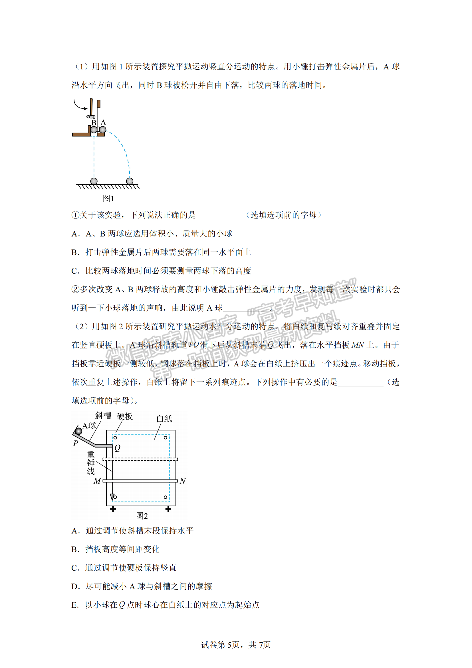 福建省泉州第五中学2024-2025学年高三上学期11月期中物理试卷及参考答案