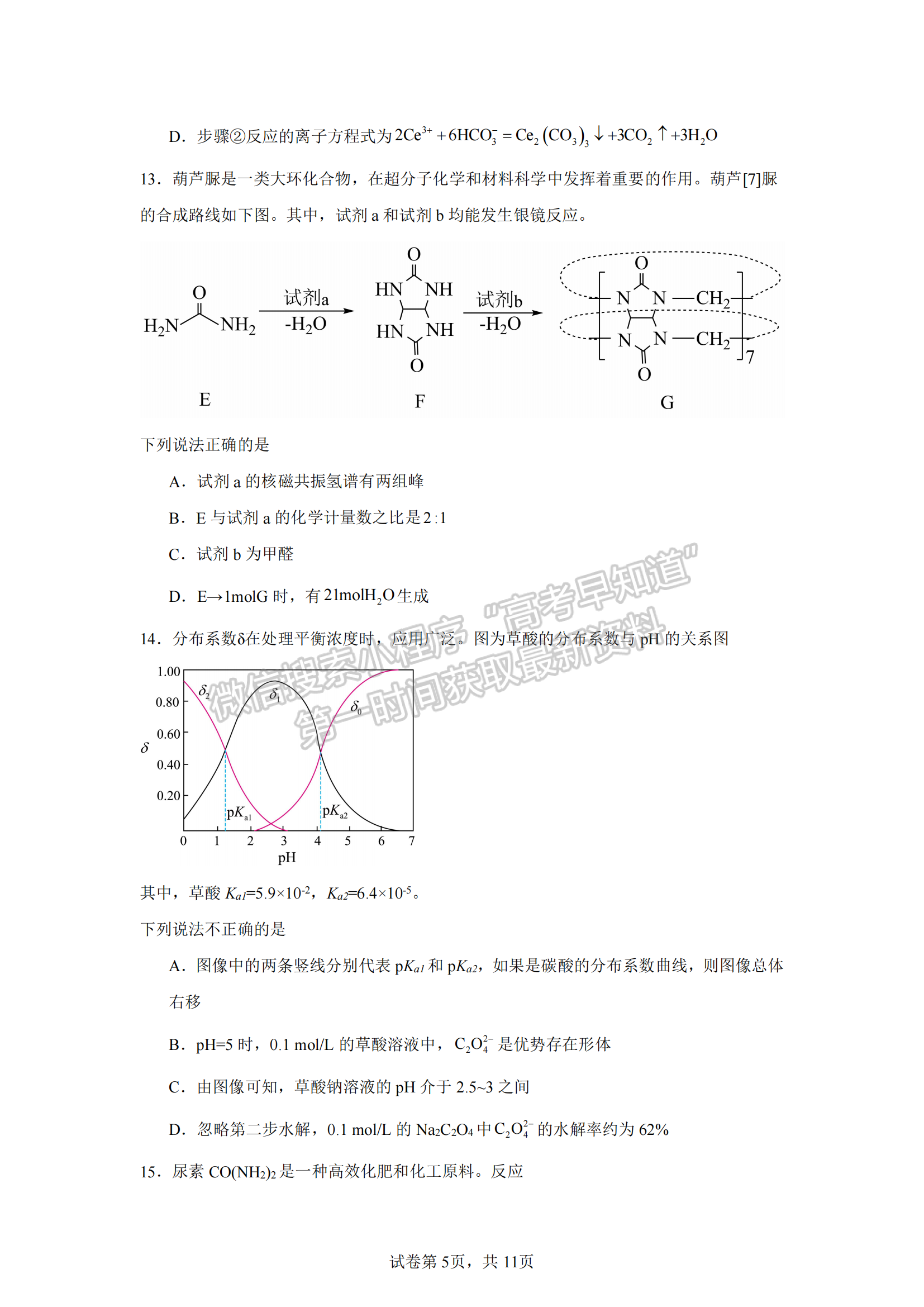 福建省泉州第五中学2024-2025学年高三上学期11月期中化学试卷及参考答案