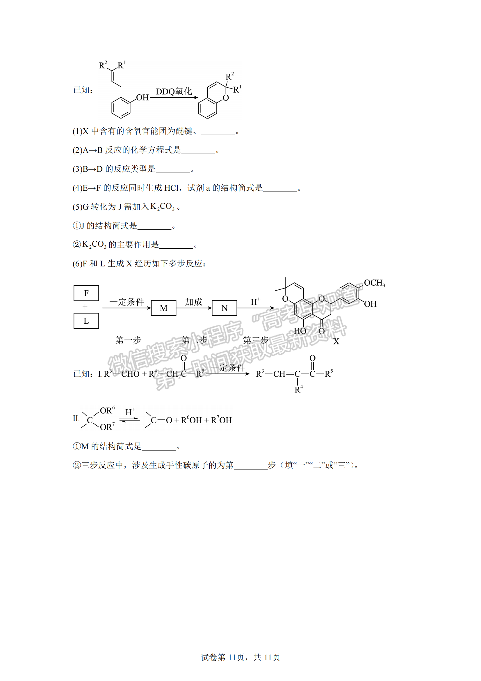 福建省泉州第五中学2024-2025学年高三上学期11月期中化学试卷及参考答案