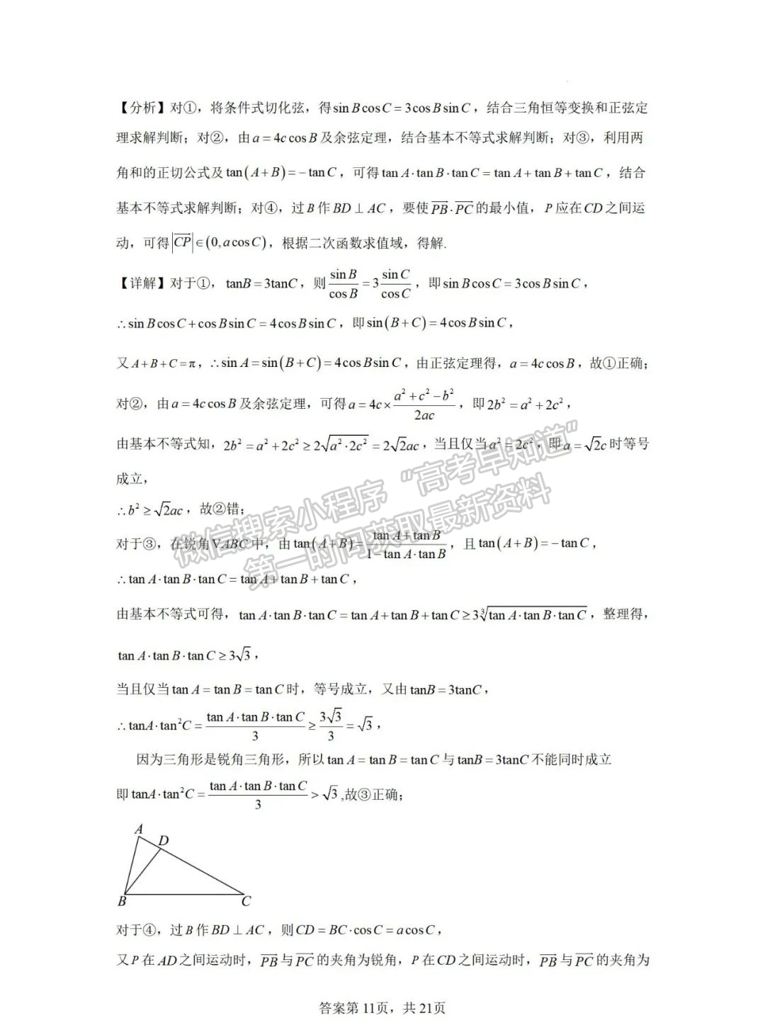 福建省泉州第五中学2024-2025学年高三上学期11月期中数学试卷及参考答案