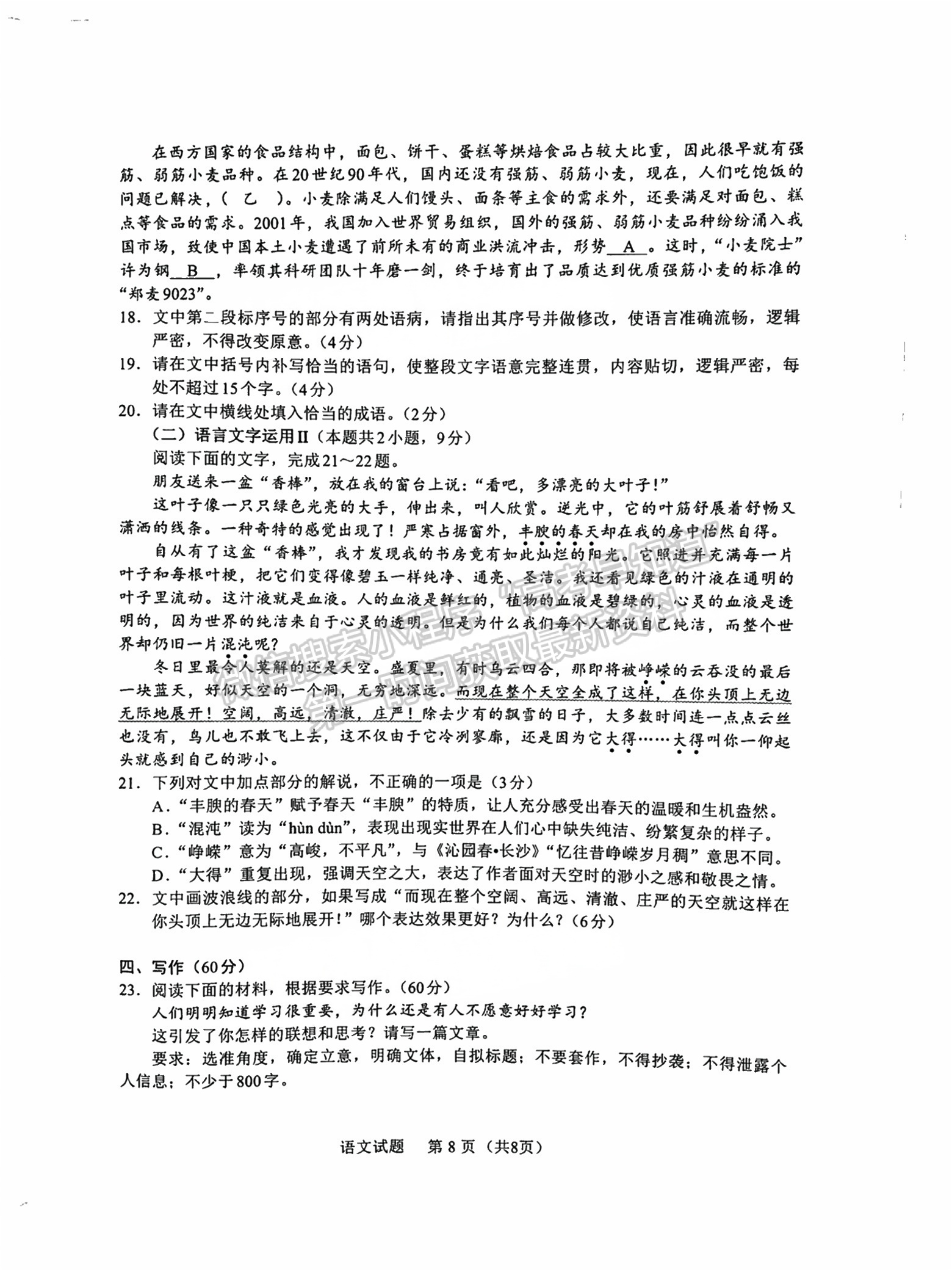 福建省11月名校联盟优质校2025届高三半期考语文试卷及参考答案