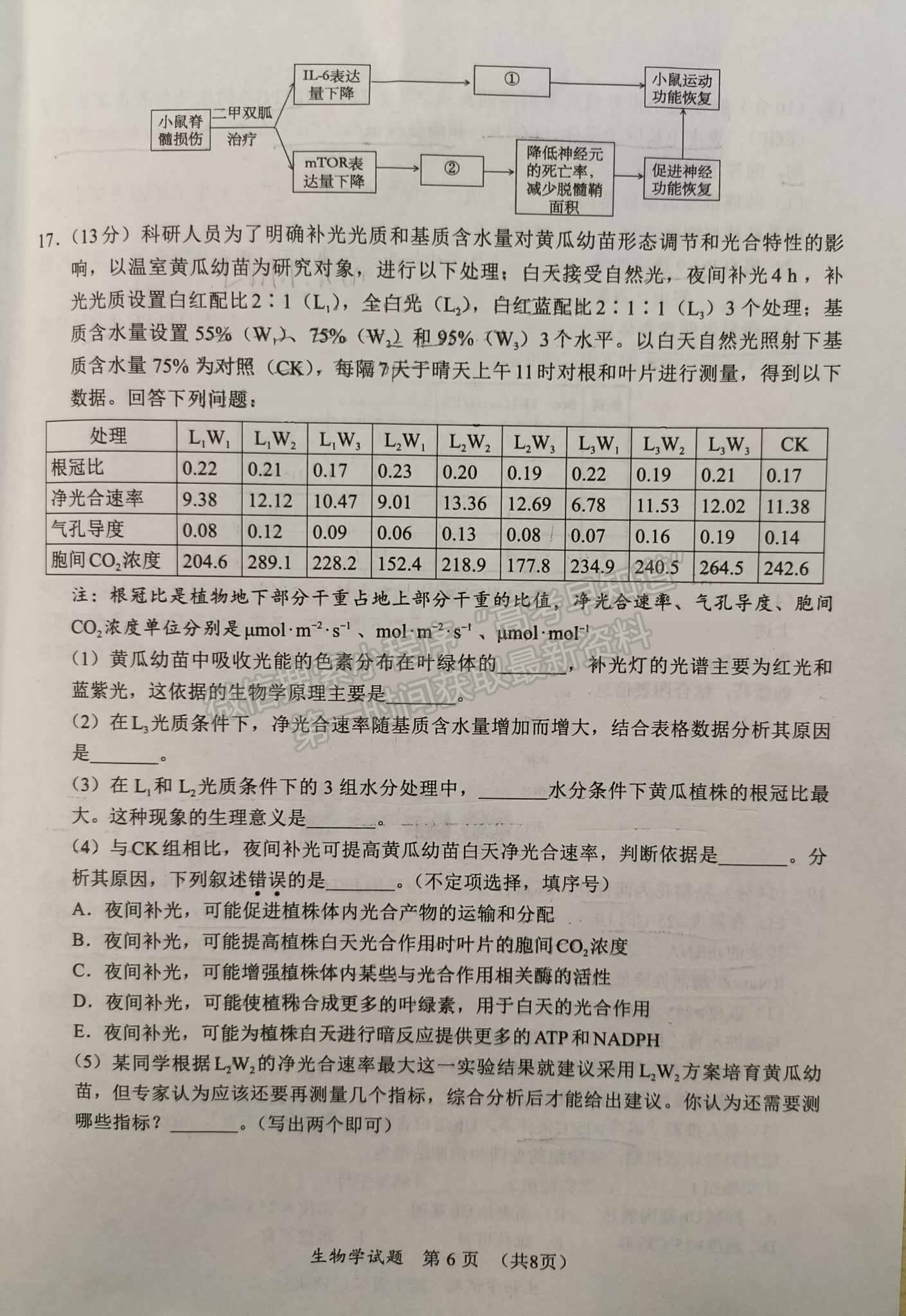 福建省11月名校聯(lián)盟優(yōu)質(zhì)校2025屆高三半期考生物試卷及參考答案