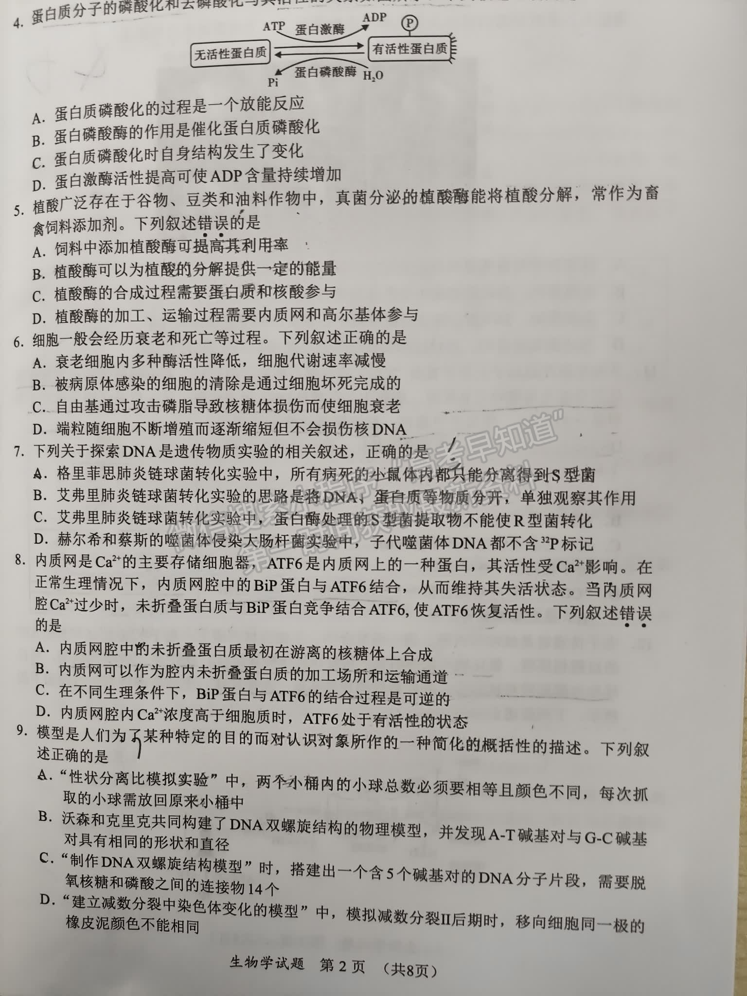 福建省11月名校联盟优质校2025届高三半期考生物试卷及参考答案