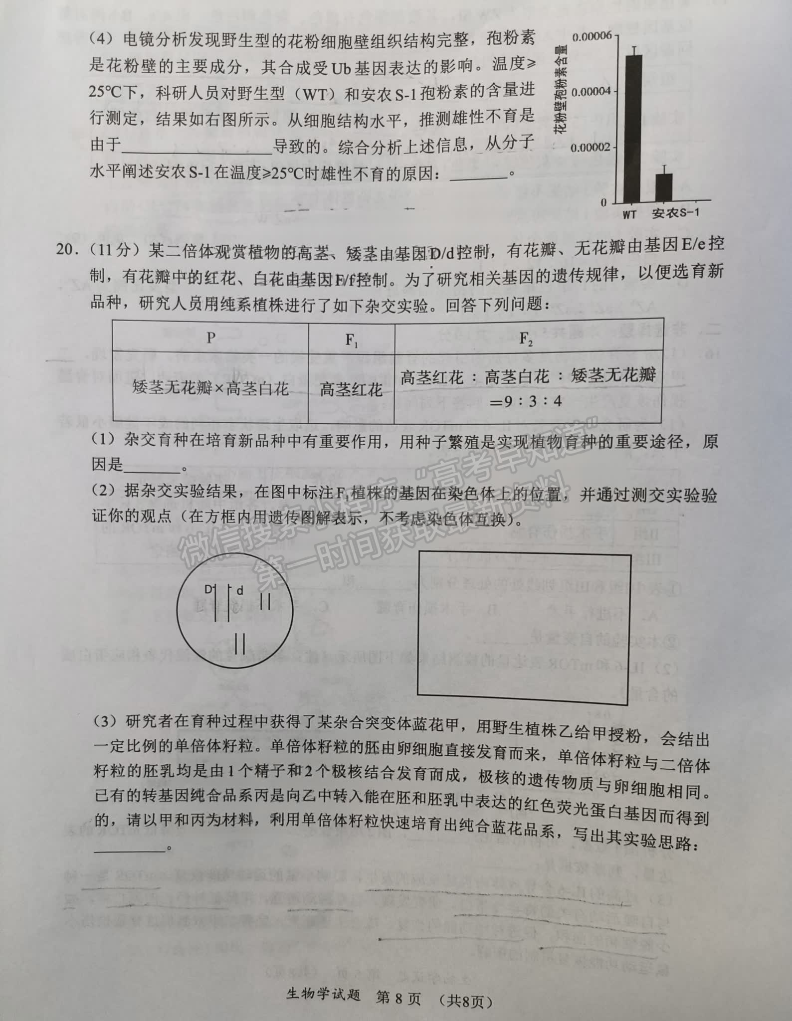 福建省11月名校聯(lián)盟優(yōu)質(zhì)校2025屆高三半期考生物試卷及參考答案