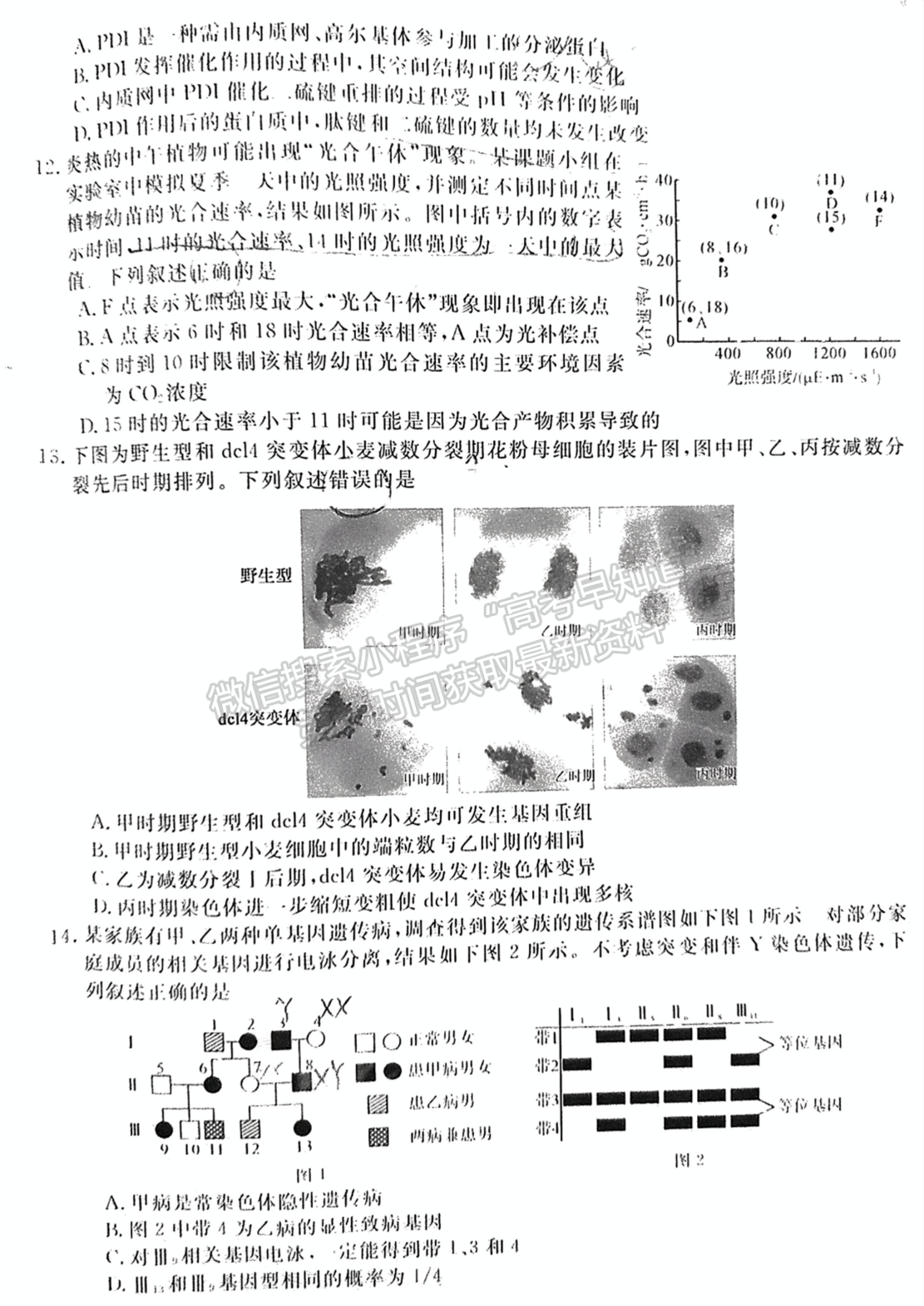 2025福建百校聯(lián)考高三生物試題及參考答案