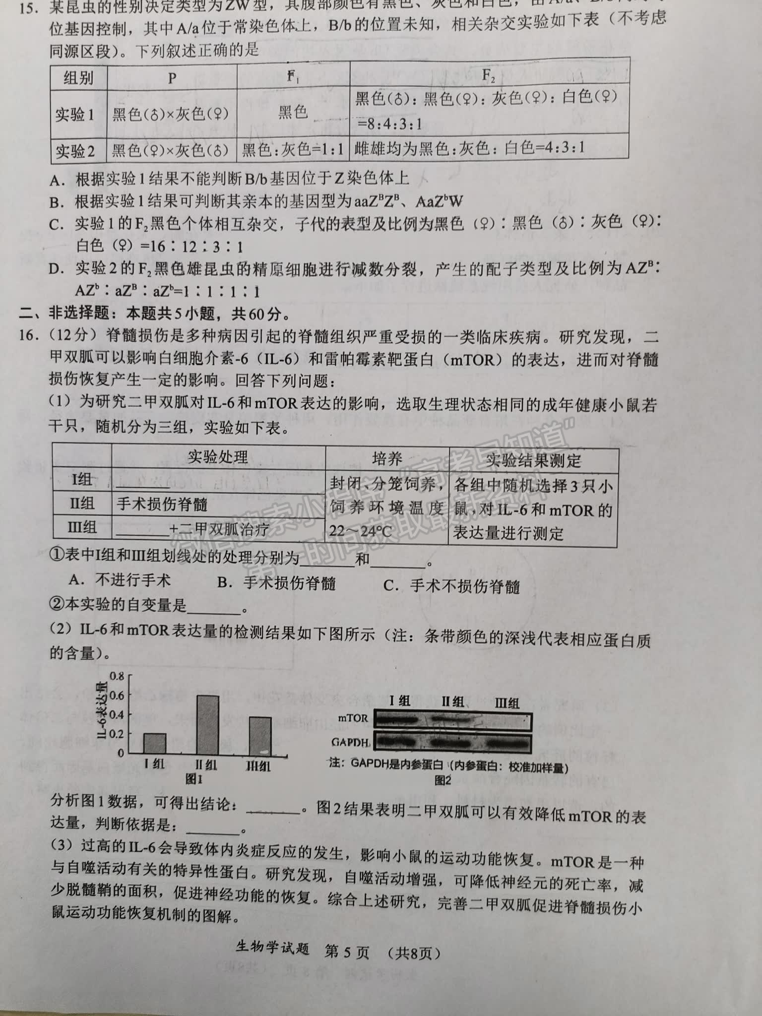 福建省11月名校聯(lián)盟優(yōu)質(zhì)校2025屆高三半期考生物試卷及參考答案