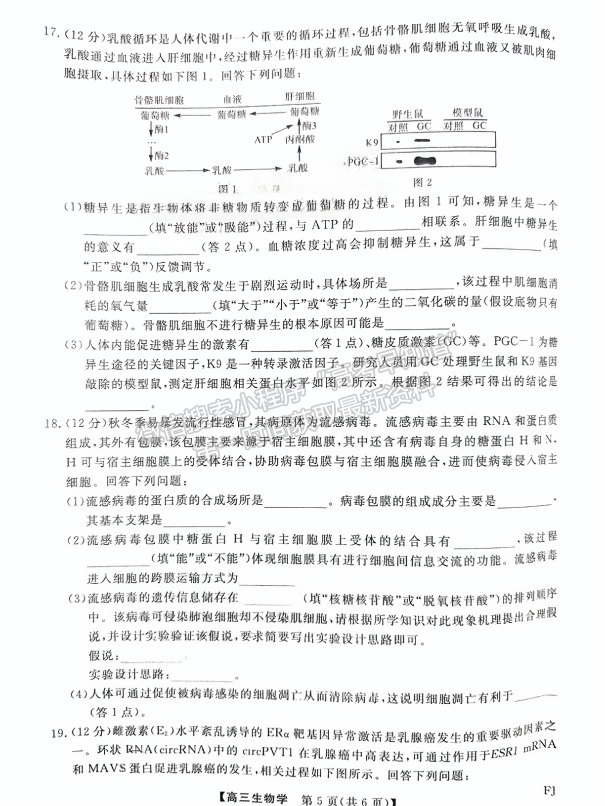 2025福建百校聯(lián)考高三生物試題及參考答案