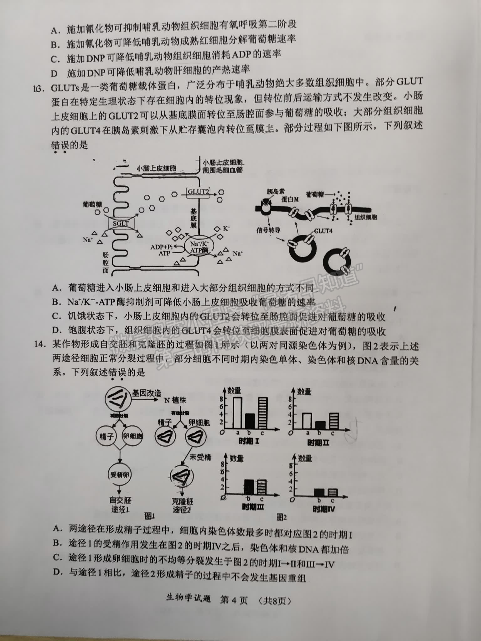 福建省11月名校联盟优质校2025届高三半期考生物试卷及参考答案