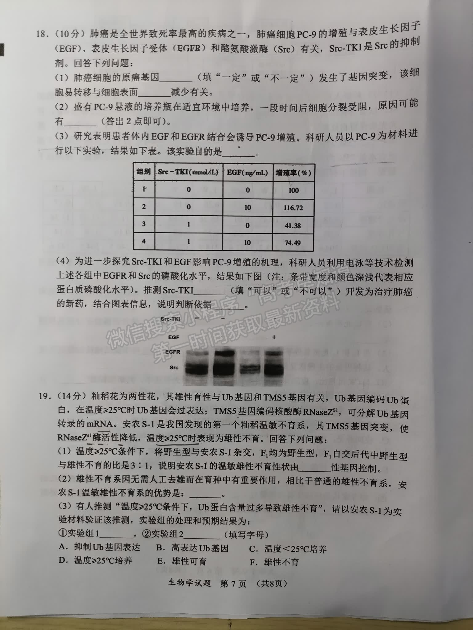 福建省11月名校聯(lián)盟優(yōu)質(zhì)校2025屆高三半期考生物試卷及參考答案