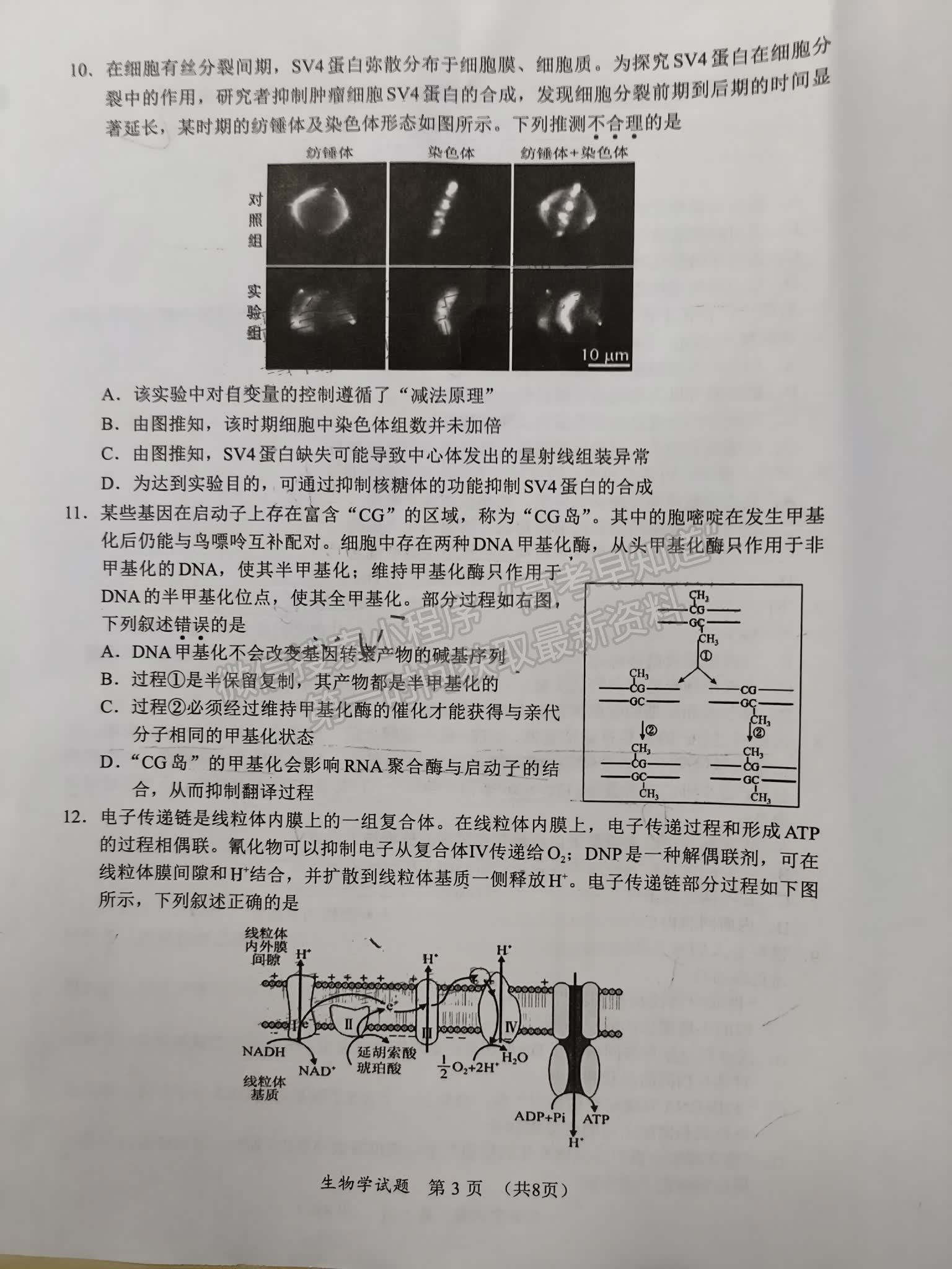 福建省11月名校联盟优质校2025届高三半期考生物试卷及参考答案