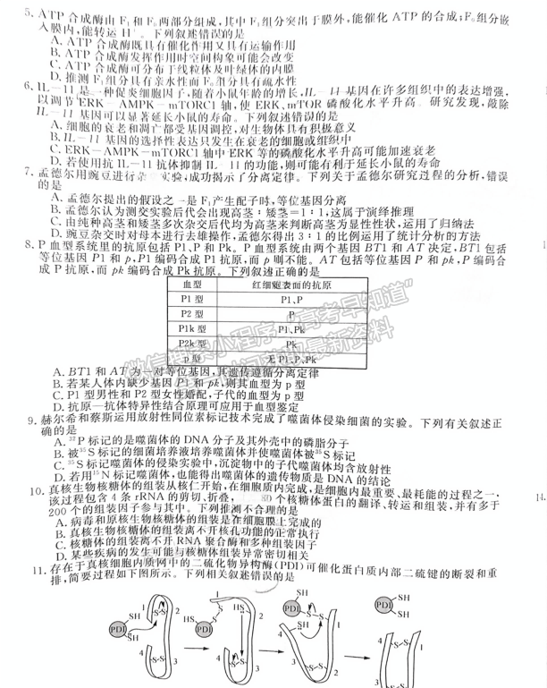 2025福建百校聯(lián)考高三生物試題及參考答案