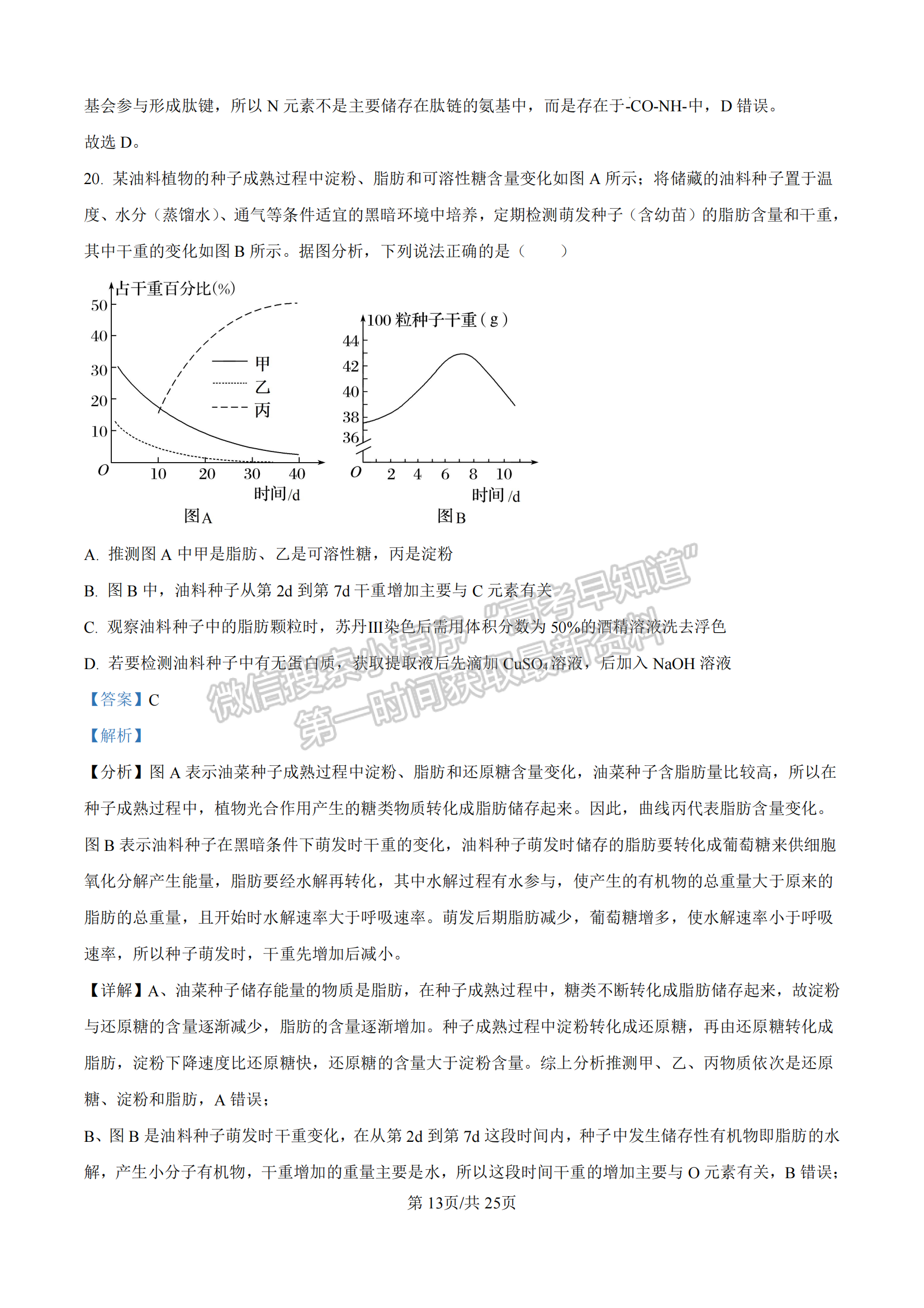 福建省漳州市十校聯(lián)盟2024-2025學(xué)年高一上學(xué)期期中聯(lián)考生物試題及參考答案