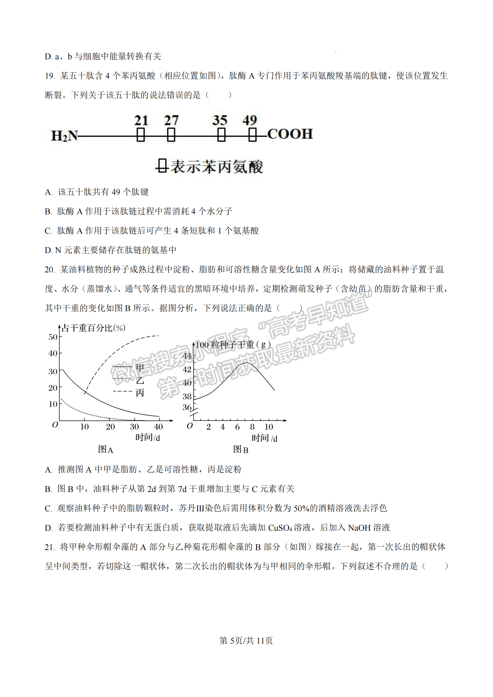 福建省漳州市十校聯(lián)盟2024-2025學(xué)年高一上學(xué)期期中聯(lián)考生物試題及參考答案