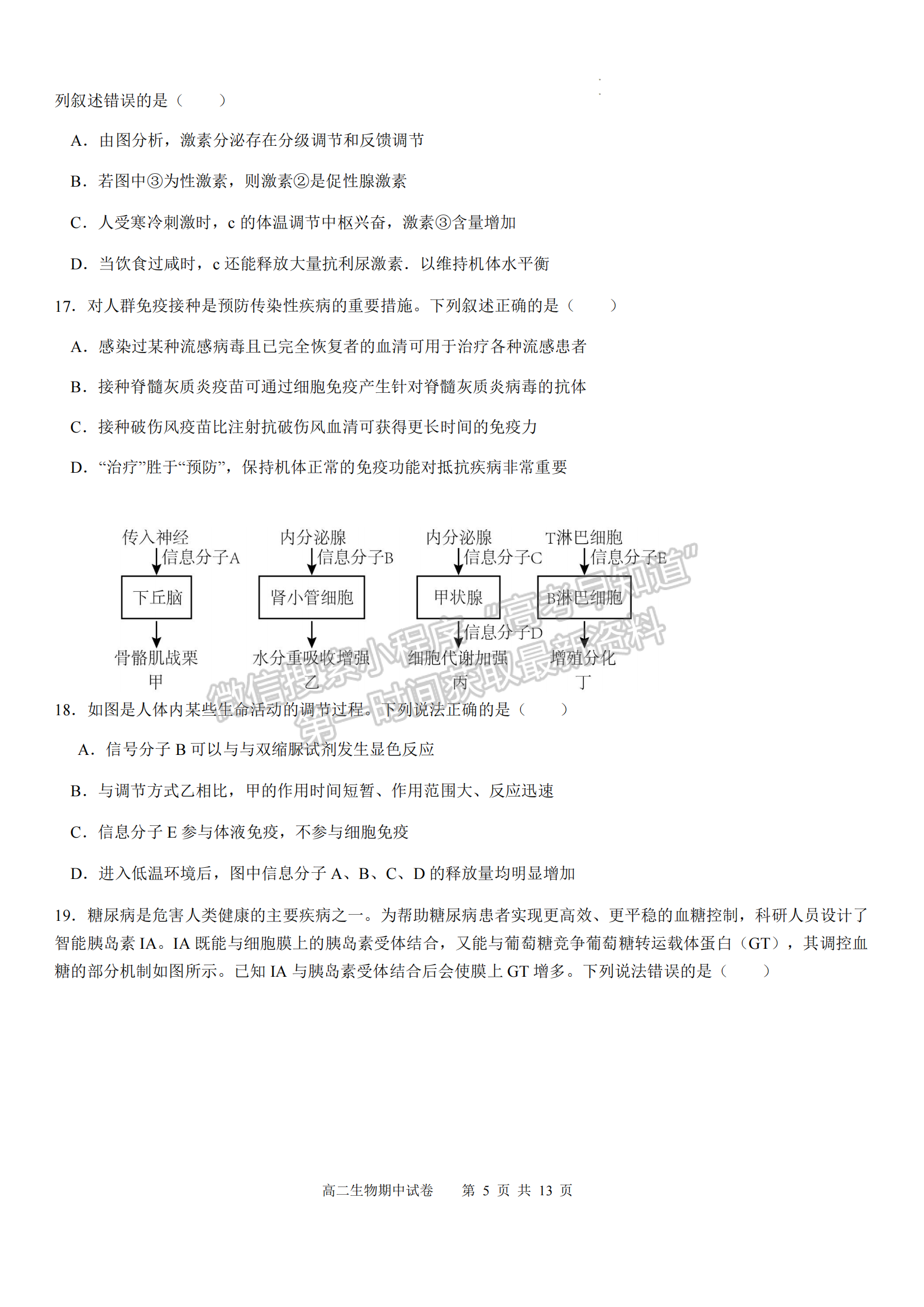 福建省福州市福9校2024-2025學(xué)年高二上學(xué)期11月期中生物試題及參考答案