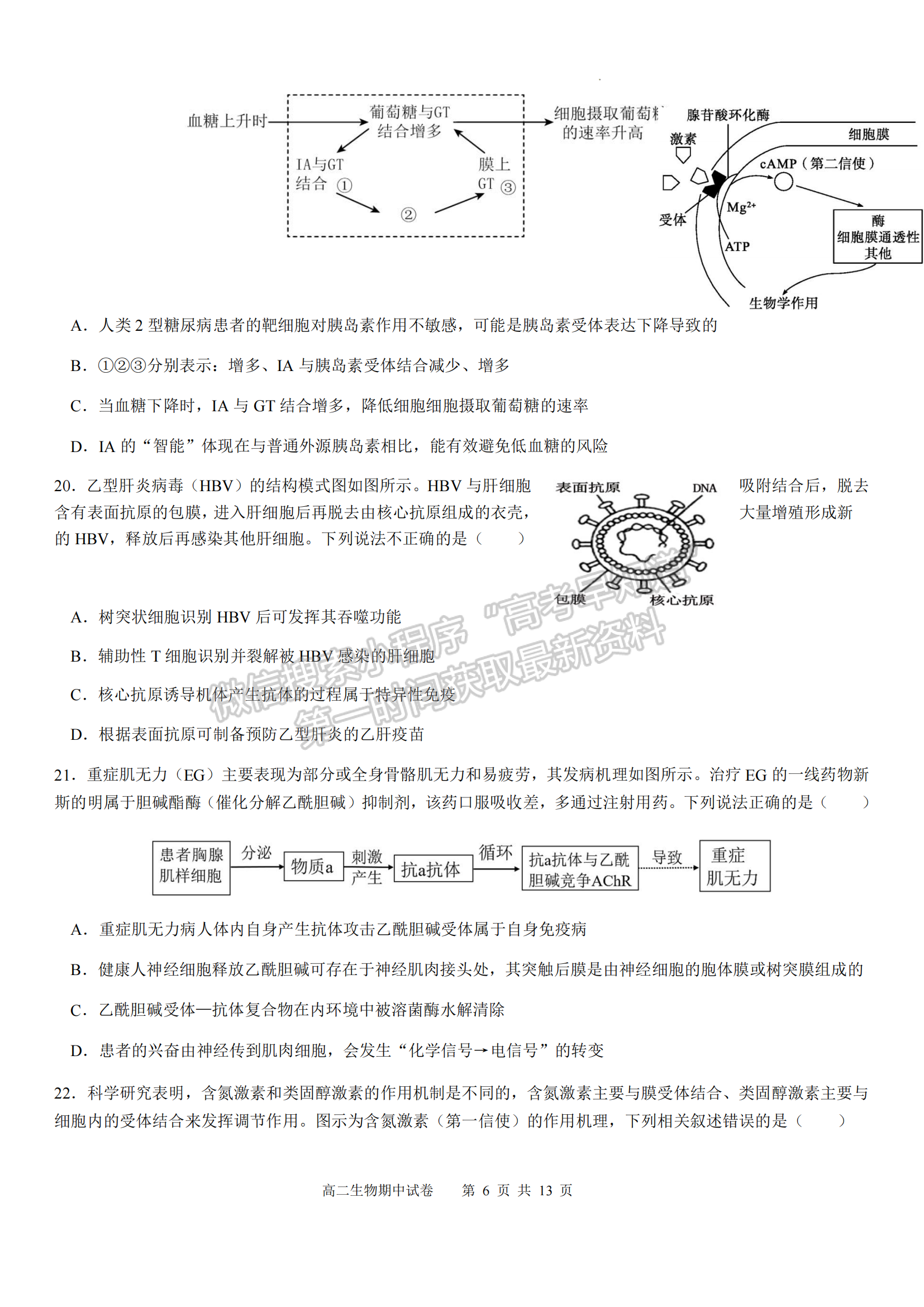 福建省福州市福9校2024-2025學(xué)年高二上學(xué)期11月期中生物試題及參考答案