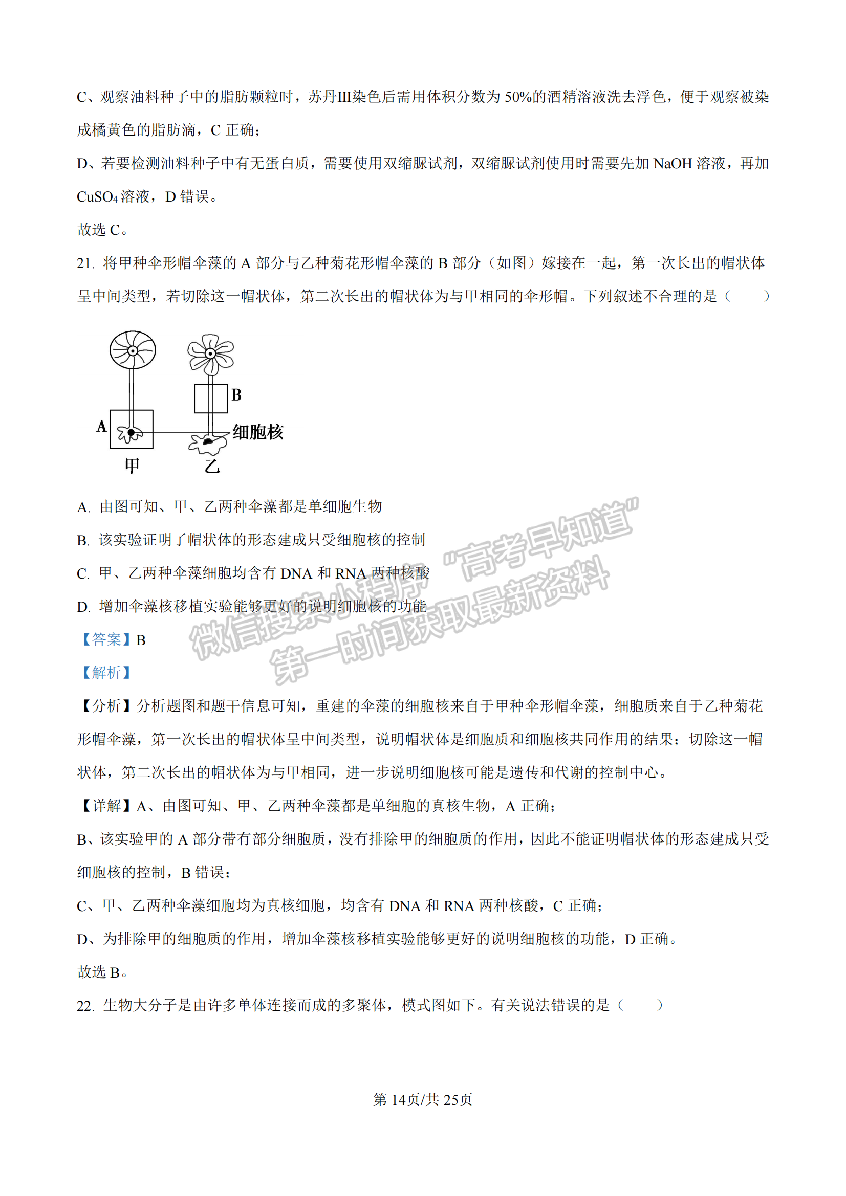 福建省漳州市十校聯(lián)盟2024-2025學(xué)年高一上學(xué)期期中聯(lián)考生物試題及參考答案