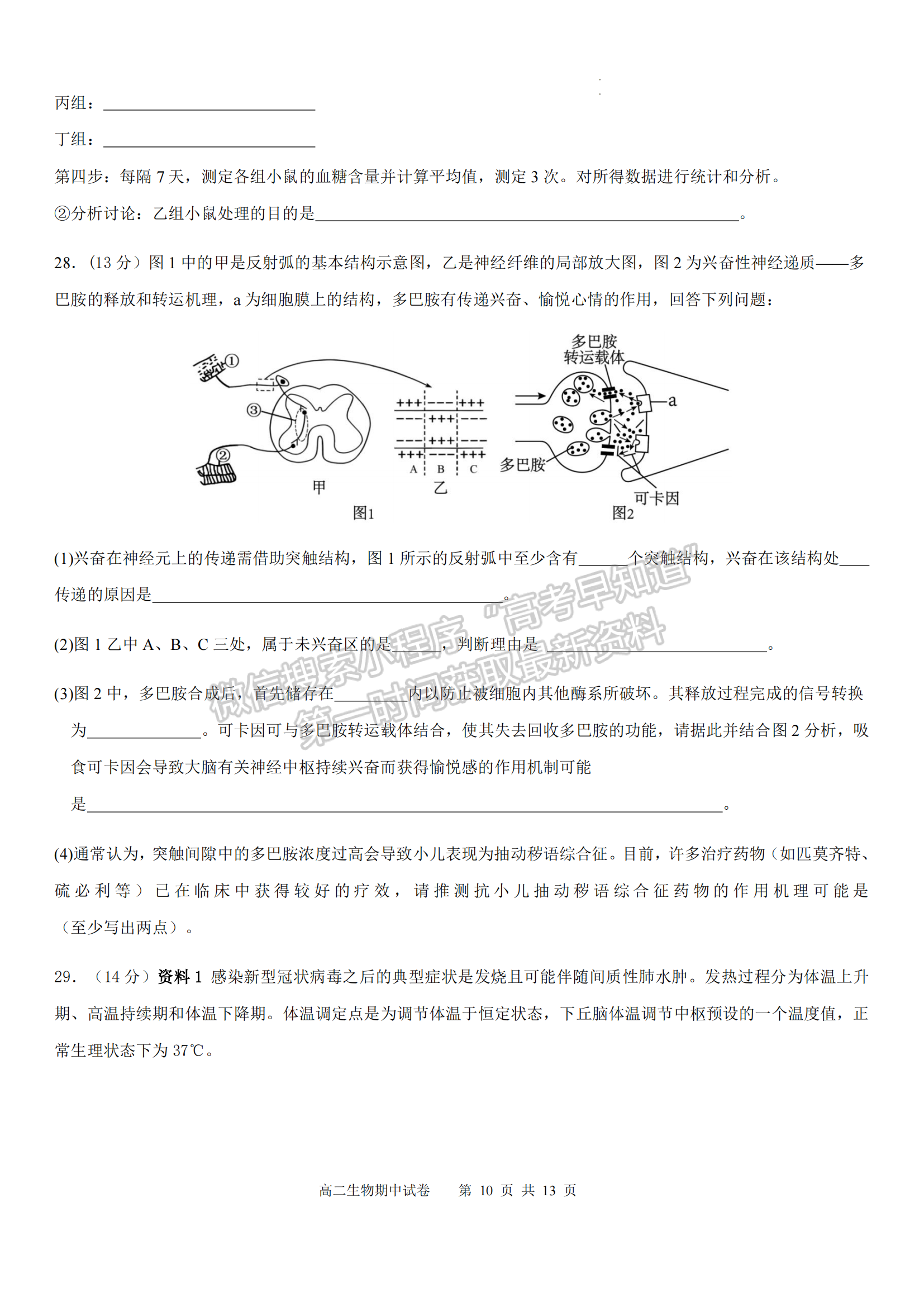 福建省福州市福9校2024-2025學(xué)年高二上學(xué)期11月期中生物試題及參考答案