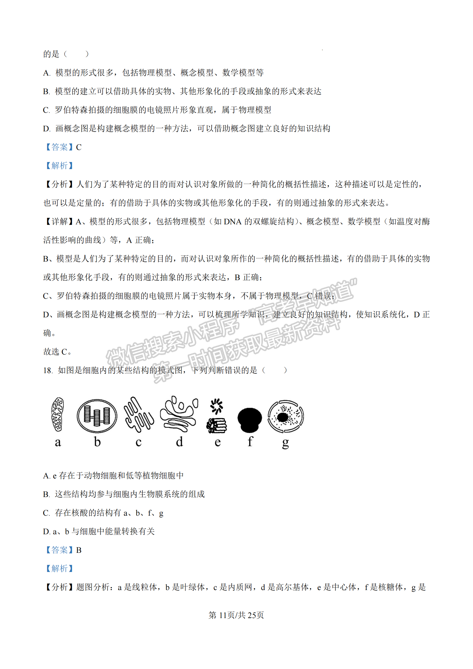 福建省漳州市十校聯(lián)盟2024-2025學(xué)年高一上學(xué)期期中聯(lián)考生物試題及參考答案