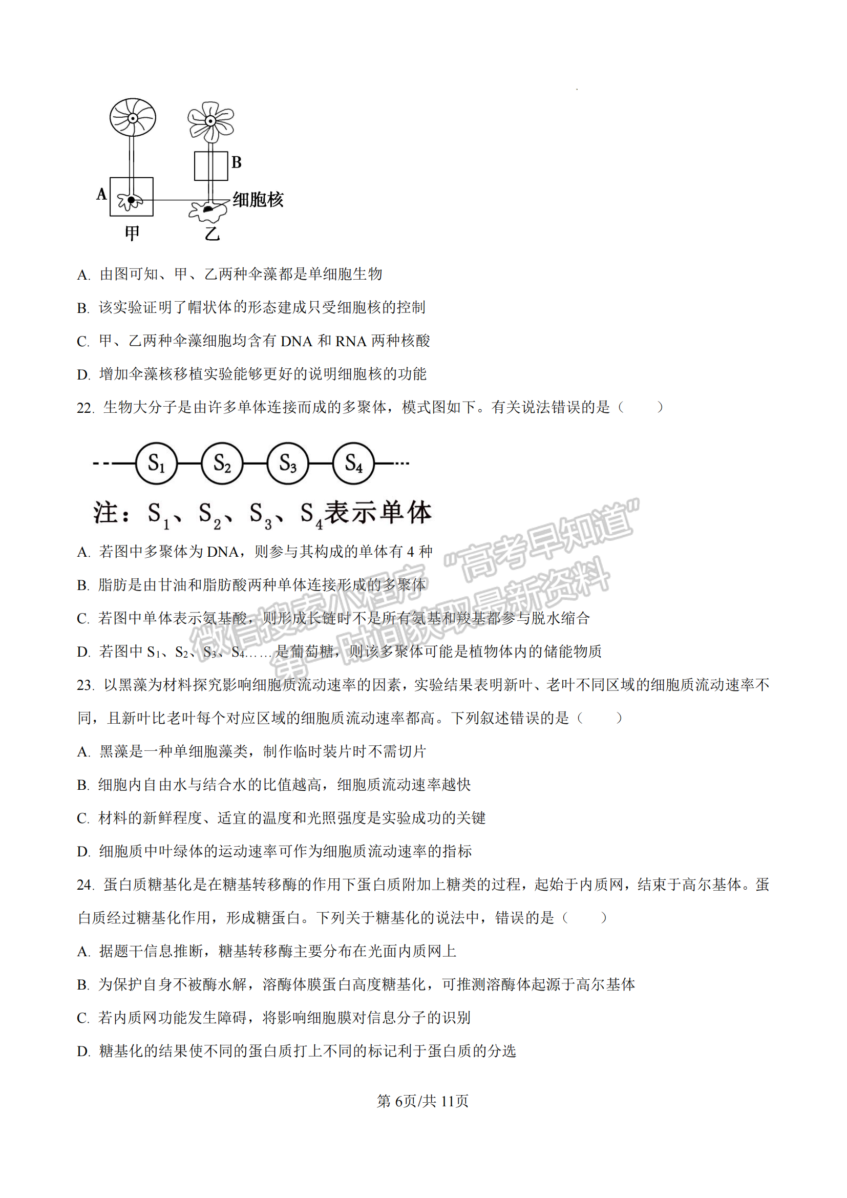 福建省漳州市十校聯(lián)盟2024-2025學(xué)年高一上學(xué)期期中聯(lián)考生物試題及參考答案