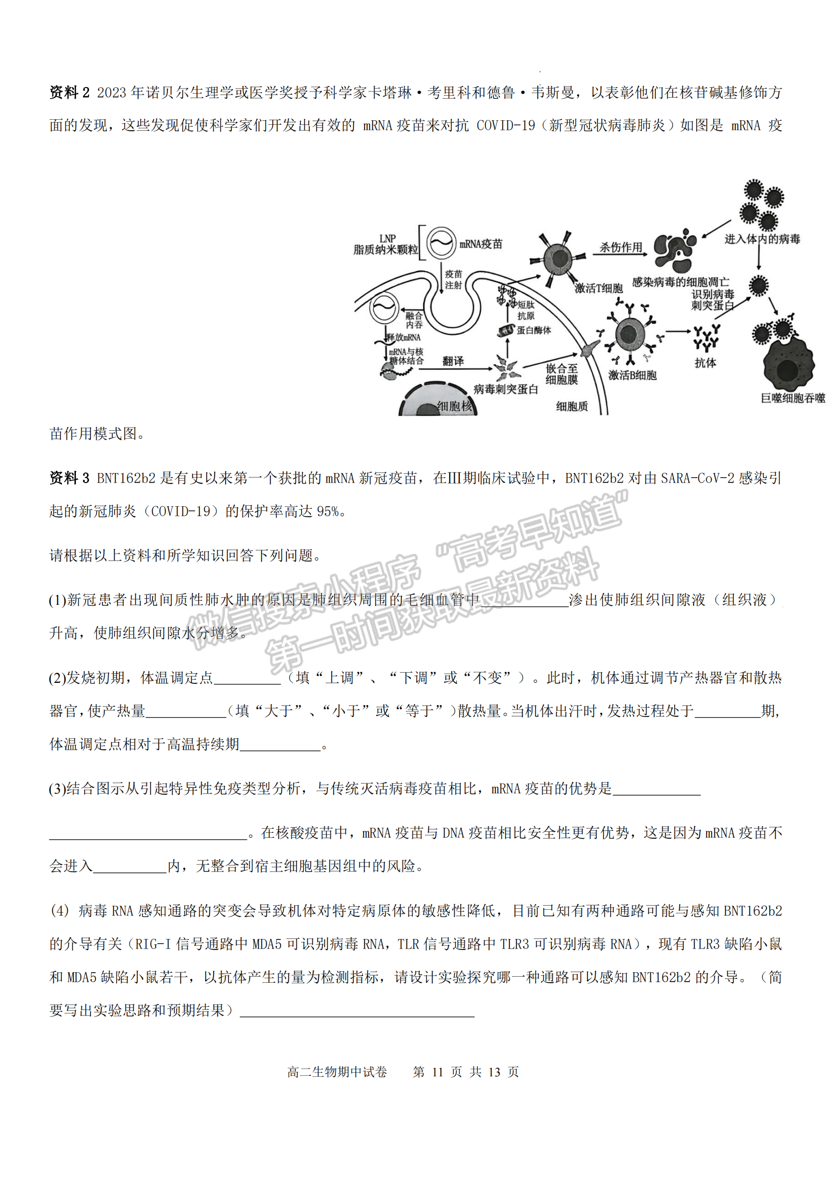 福建省福州市福9校2024-2025學(xué)年高二上學(xué)期11月期中生物試題及參考答案