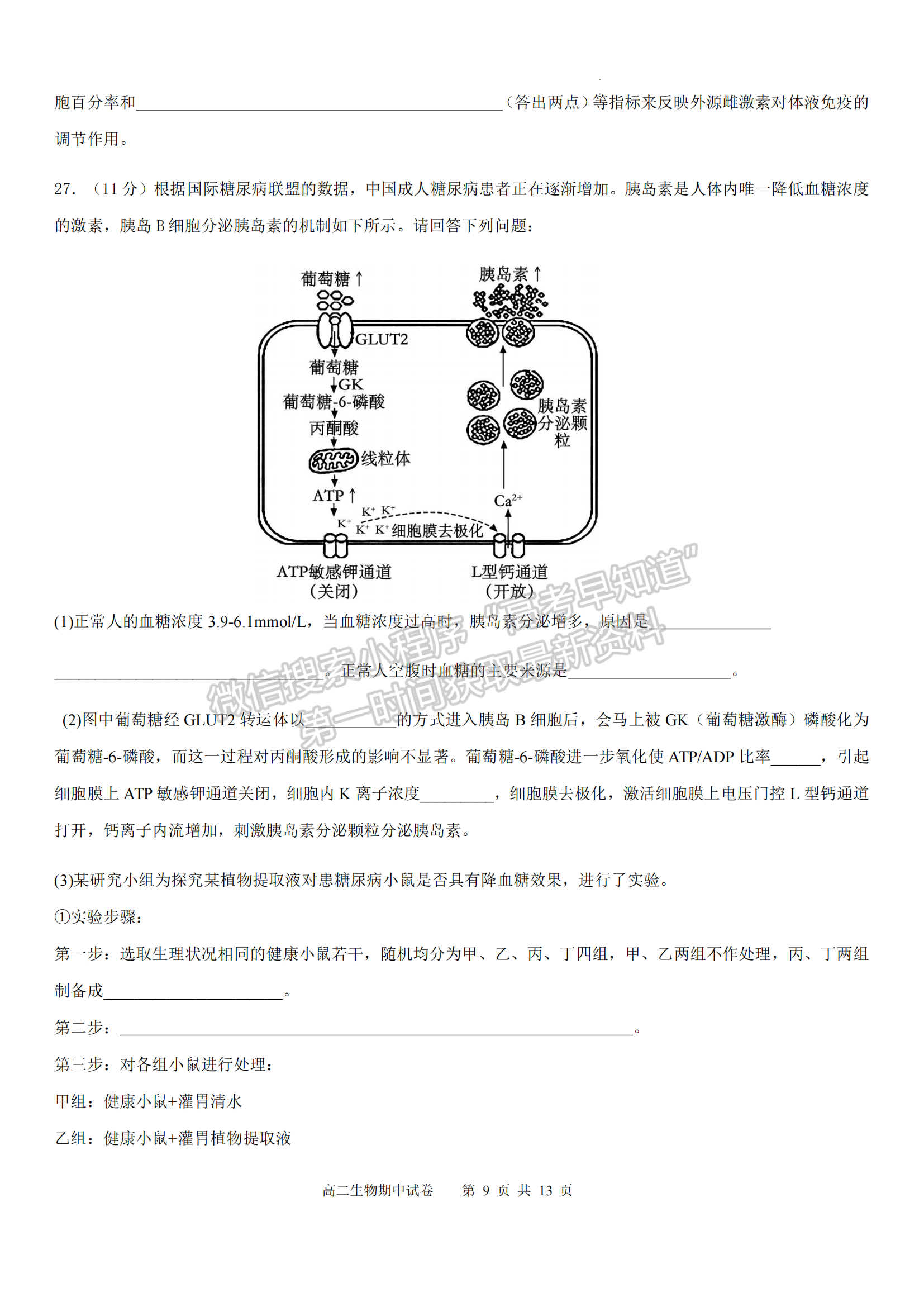 福建省福州市福9校2024-2025學(xué)年高二上學(xué)期11月期中生物試題及參考答案