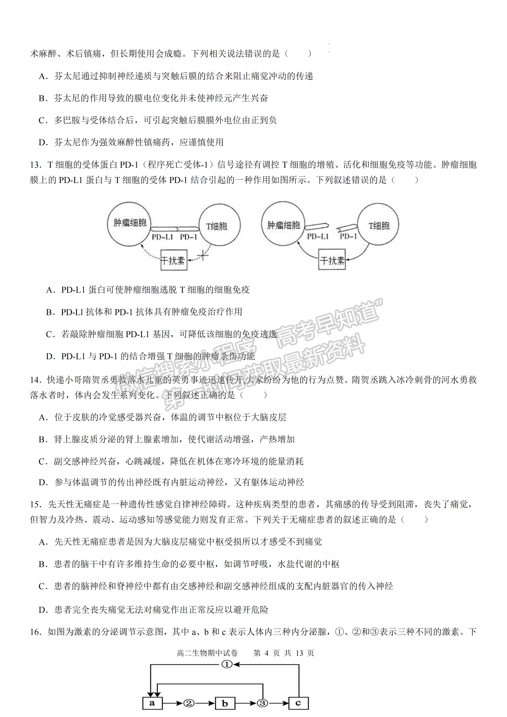 福建省福州市福9校2024-2025學(xué)年高二上學(xué)期11月期中生物試題及參考答案