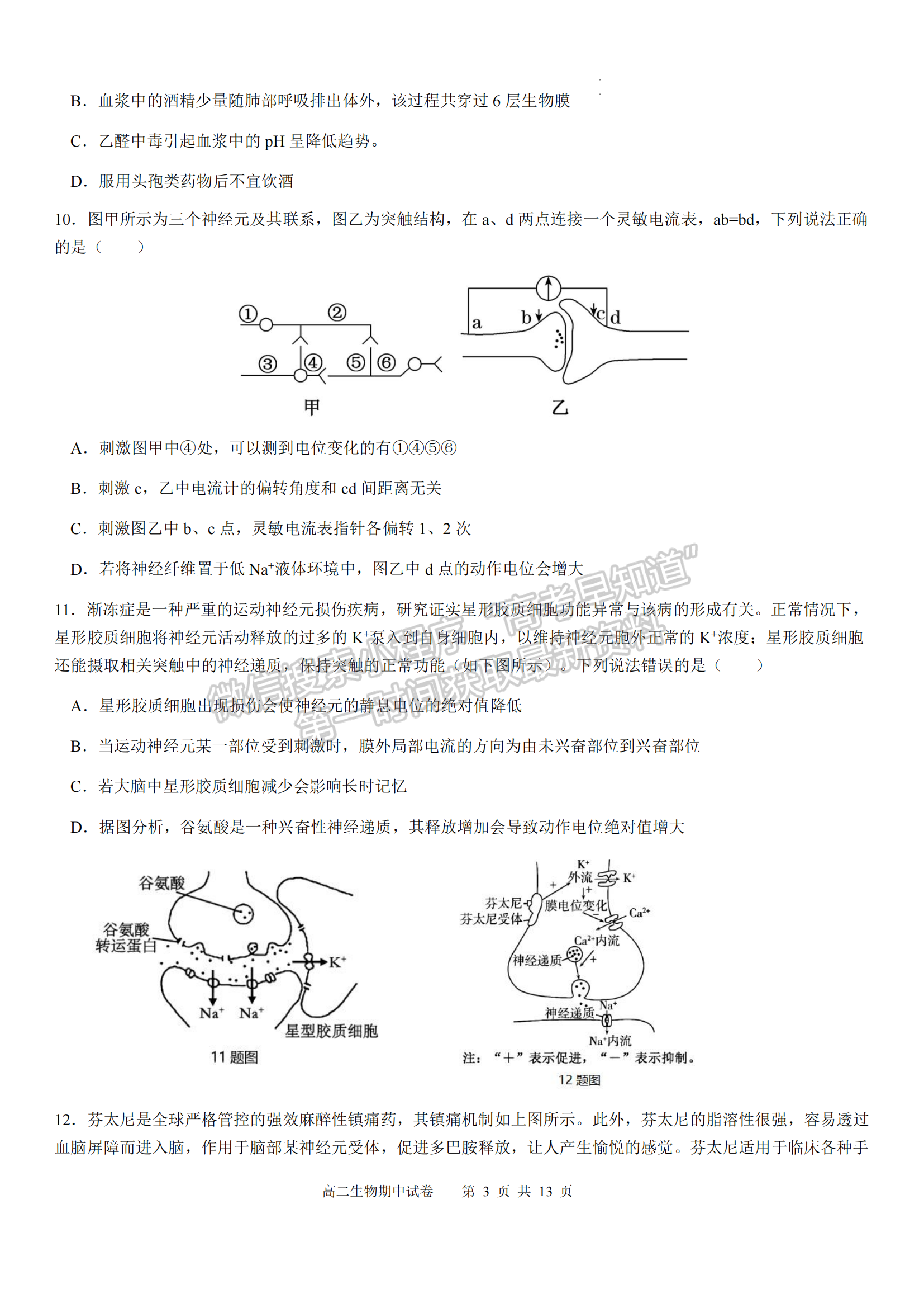 福建省福州市福9校2024-2025學(xué)年高二上學(xué)期11月期中生物試題及參考答案