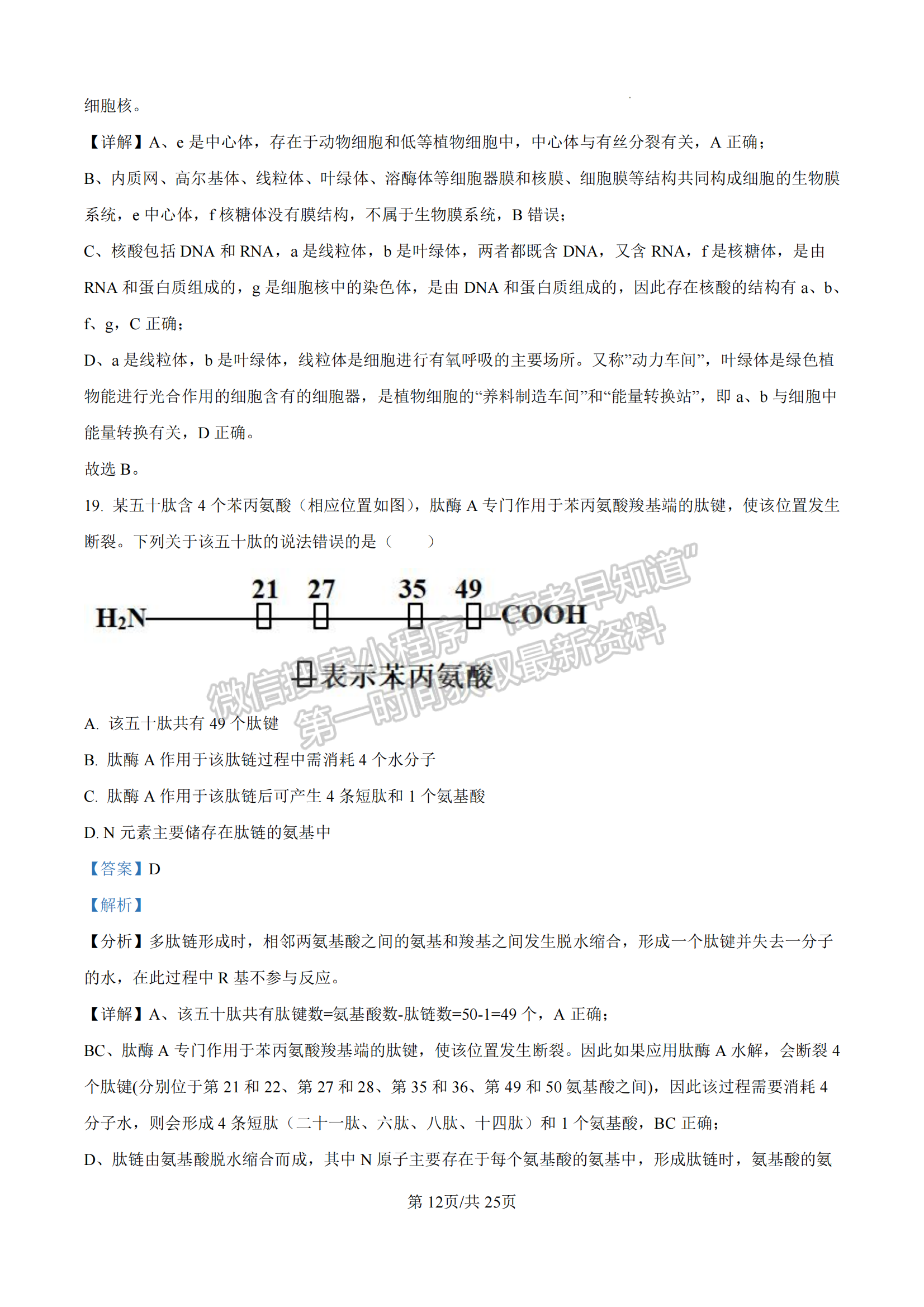 福建省漳州市十校聯(lián)盟2024-2025學(xué)年高一上學(xué)期期中聯(lián)考生物試題及參考答案