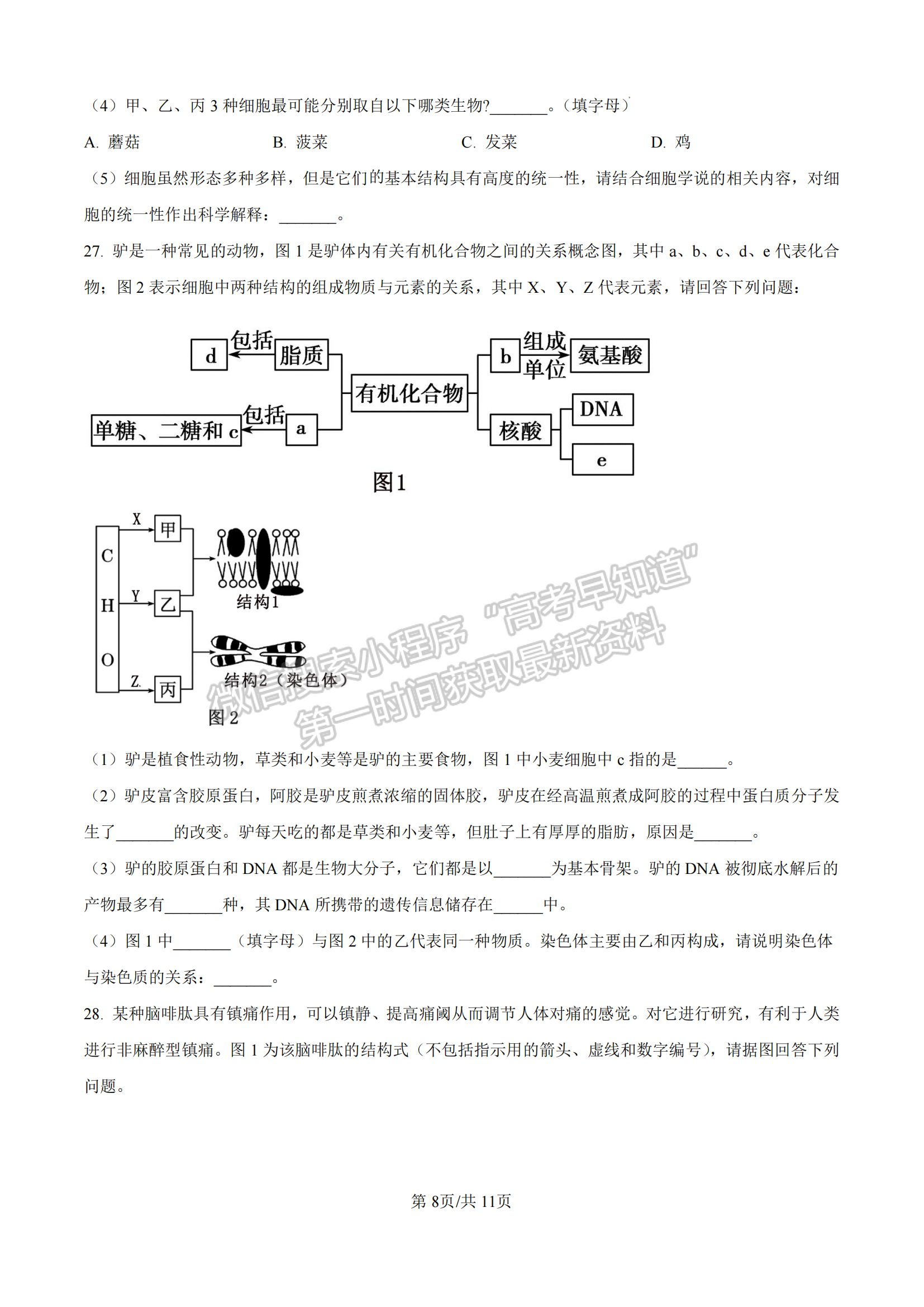 福建省漳州市十校聯(lián)盟2024-2025學(xué)年高一上學(xué)期期中聯(lián)考生物試題及參考答案