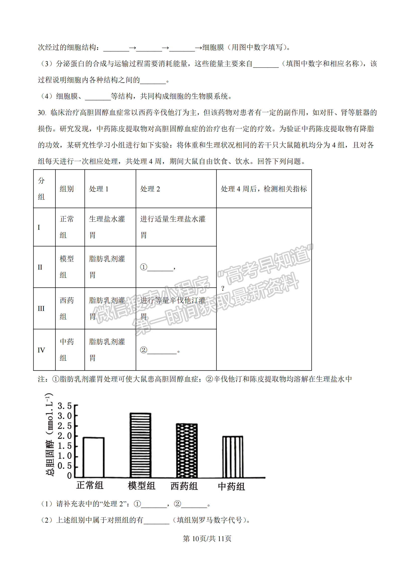 福建省漳州市十校聯(lián)盟2024-2025學(xué)年高一上學(xué)期期中聯(lián)考生物試題及參考答案