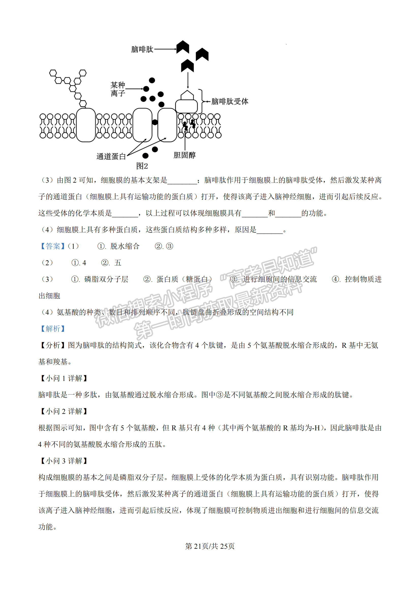 福建省漳州市十校聯(lián)盟2024-2025學(xué)年高一上學(xué)期期中聯(lián)考生物試題及參考答案