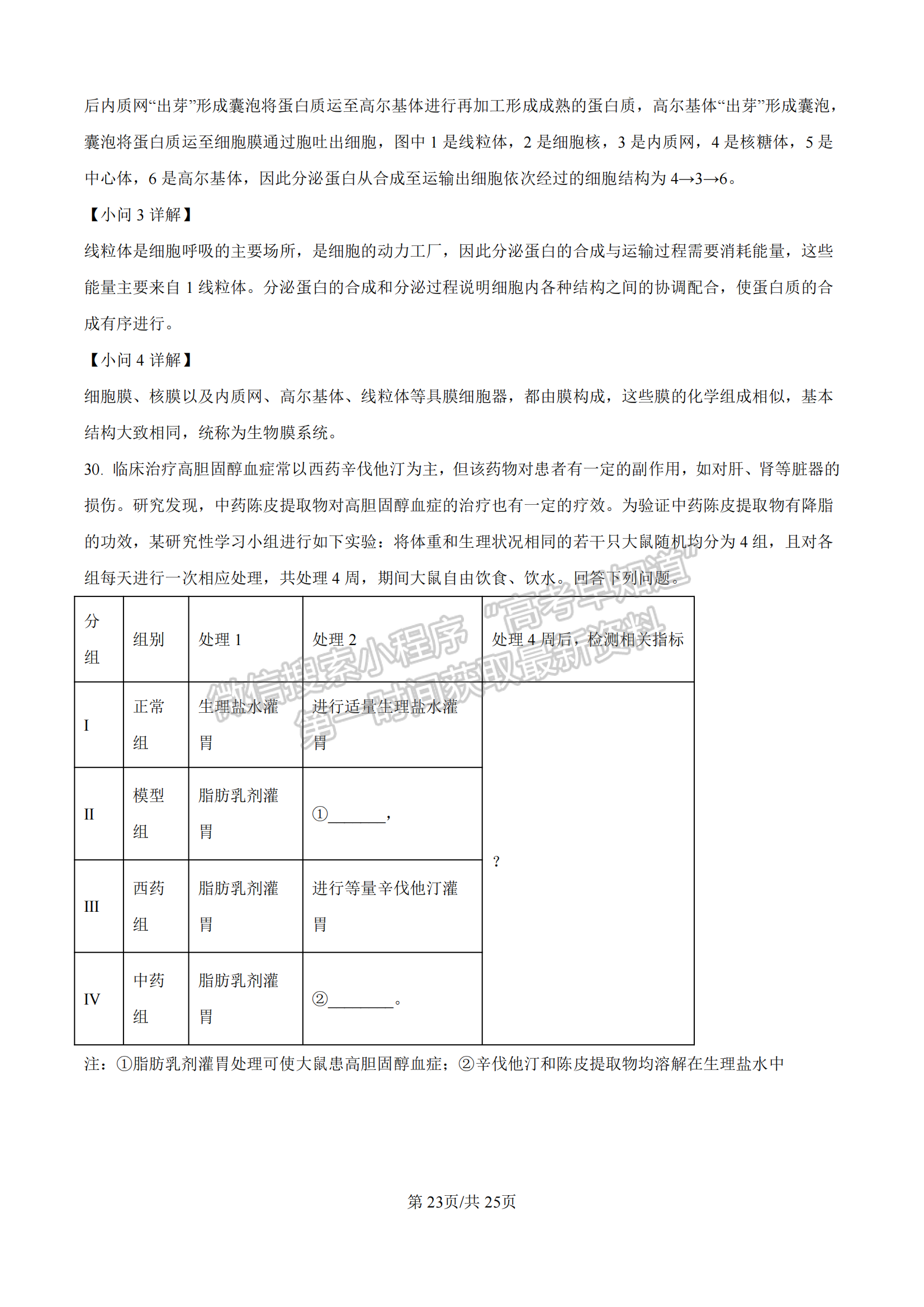 福建省漳州市十校聯(lián)盟2024-2025學(xué)年高一上學(xué)期期中聯(lián)考生物試題及參考答案