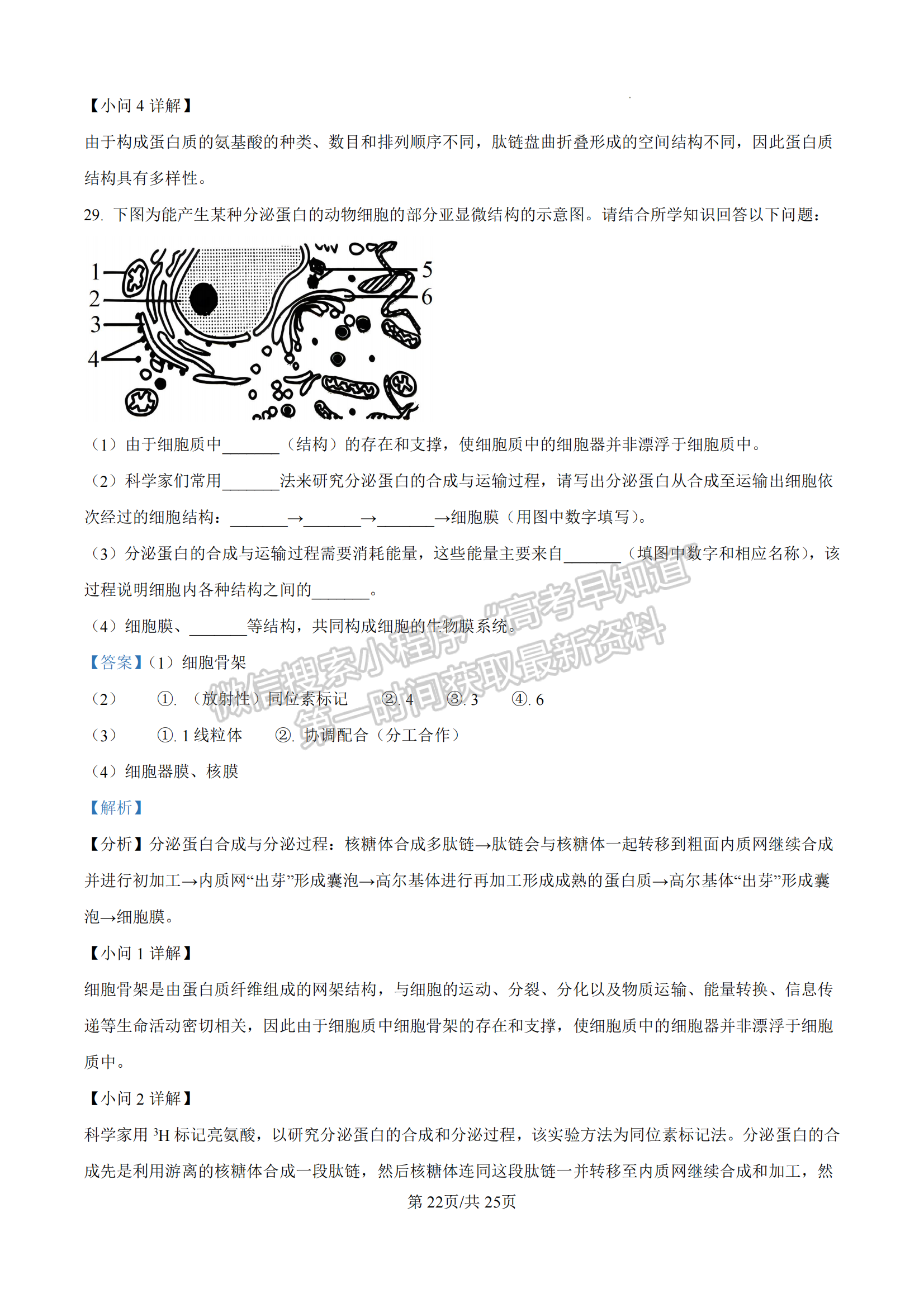 福建省漳州市十校聯(lián)盟2024-2025學(xué)年高一上學(xué)期期中聯(lián)考生物試題及參考答案